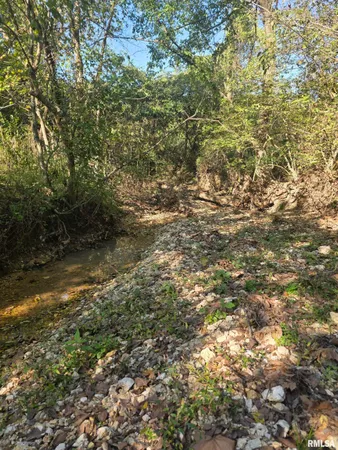 $1,202,800 | 19168 County Line Road, Jonesboro, IL 62952