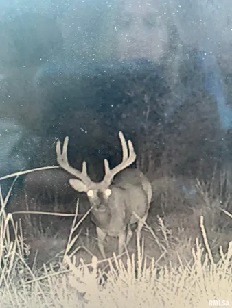 $1,202,800 | 19168 County Line Road, Jonesboro, IL 62952