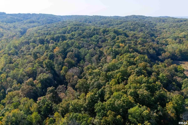 $1,202,800 | 19168 County Line Road, Jonesboro, IL 62952