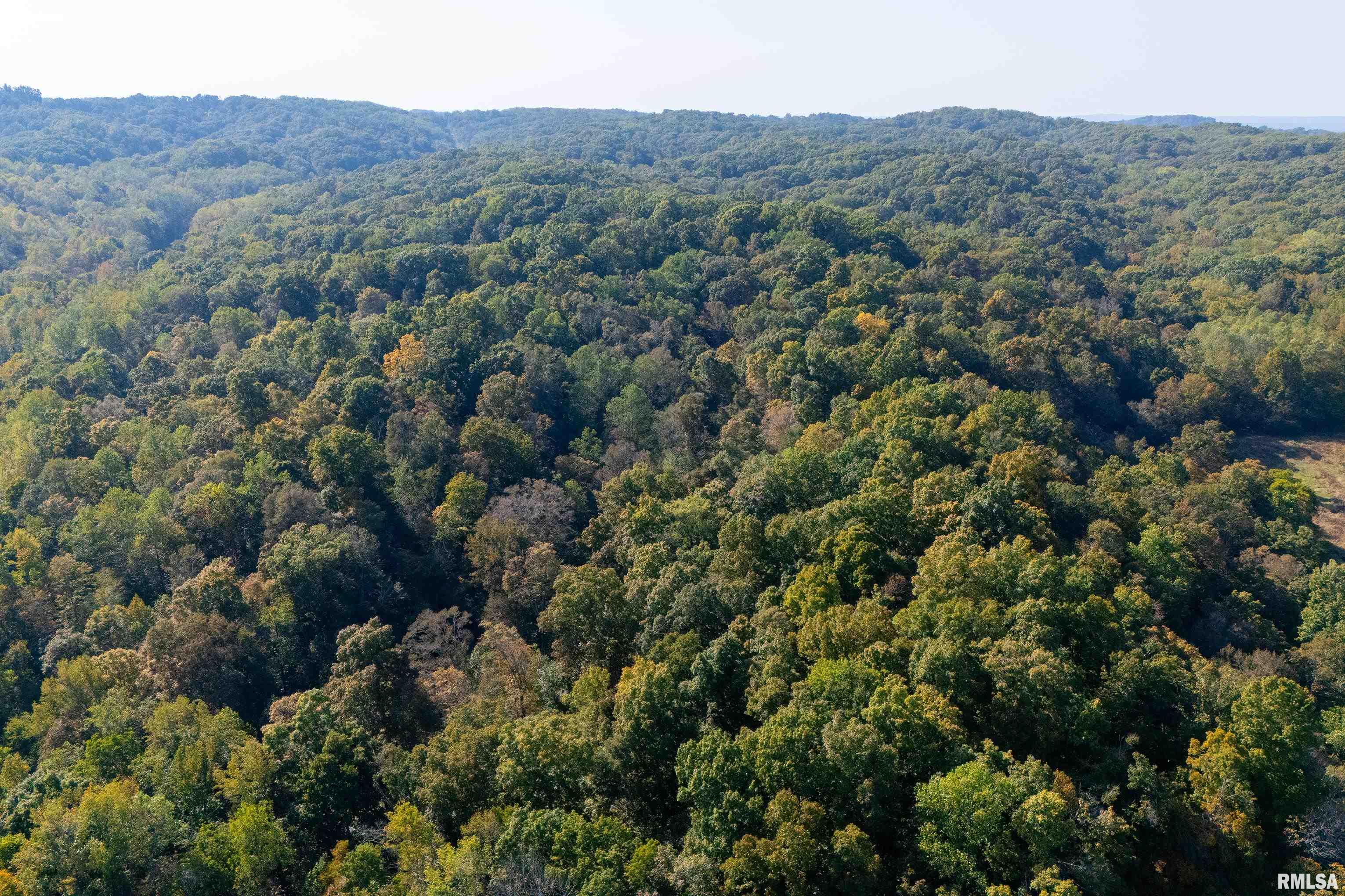 19168 County Line Road Jonesboro, IL 62952 - Photo 26 of 53