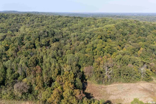 $1,202,800 | 19168 County Line Road, Jonesboro, IL 62952