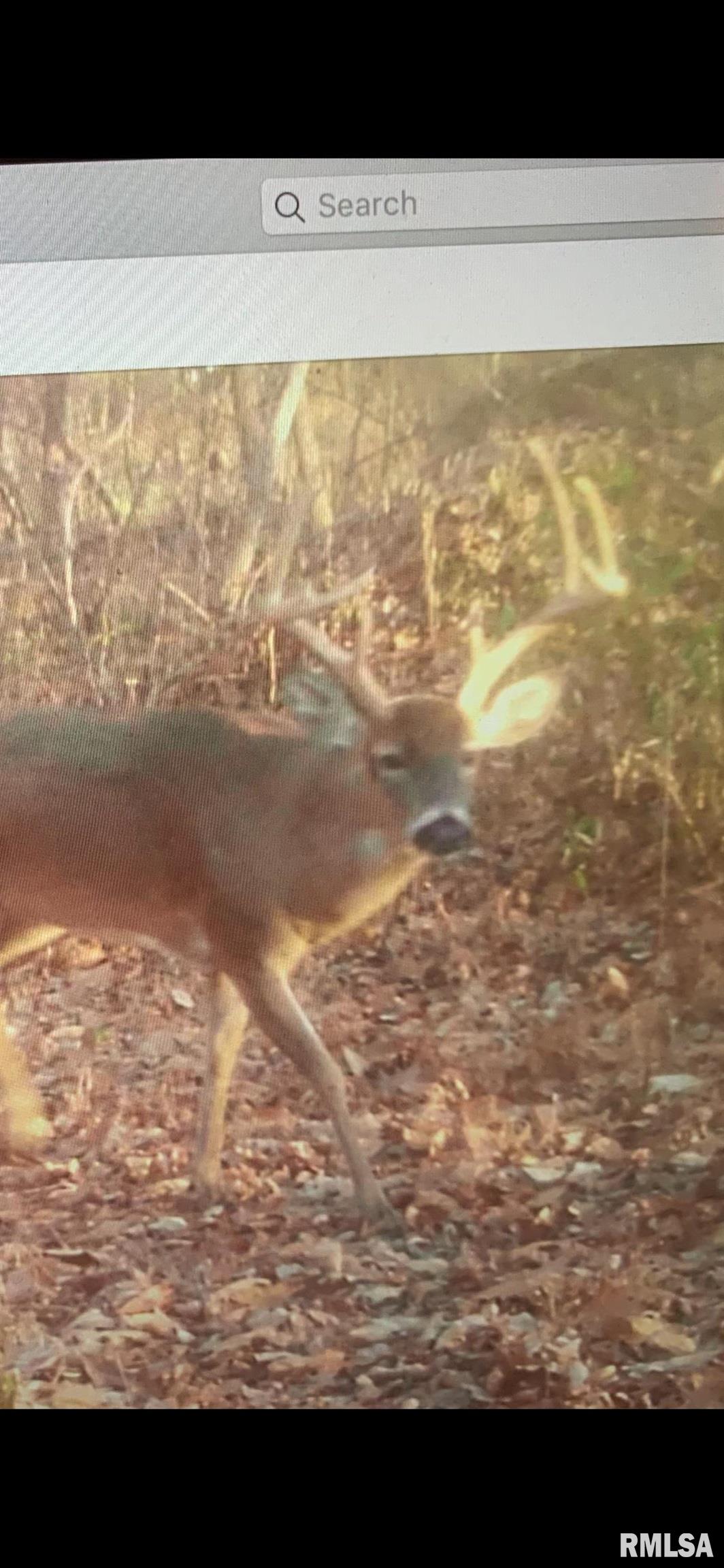 19168 County Line Road Jonesboro, IL 62952 - Photo 45 of 53