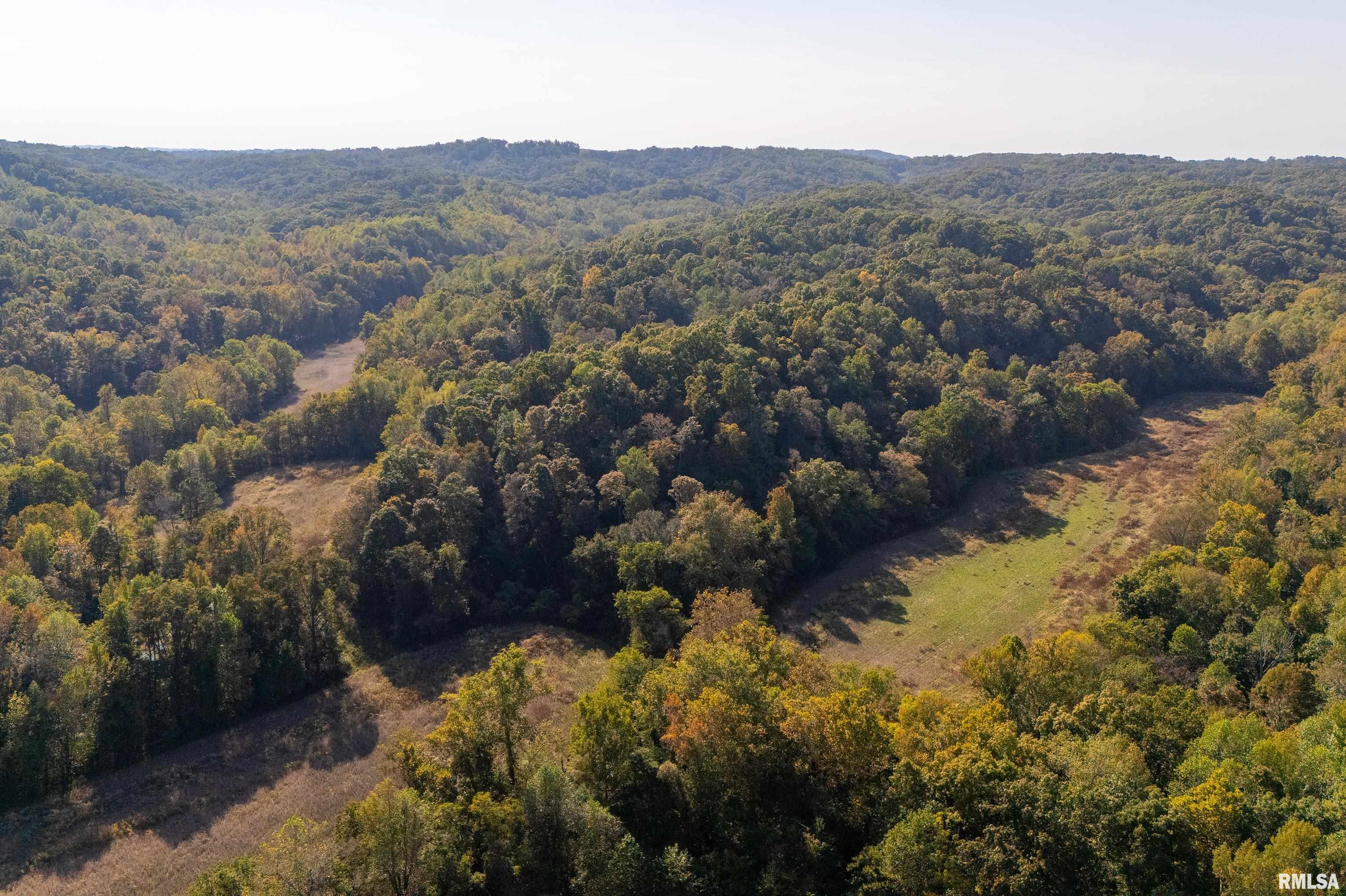 19168 County Line Road Jonesboro, IL 62952 - Photo 5 of 53