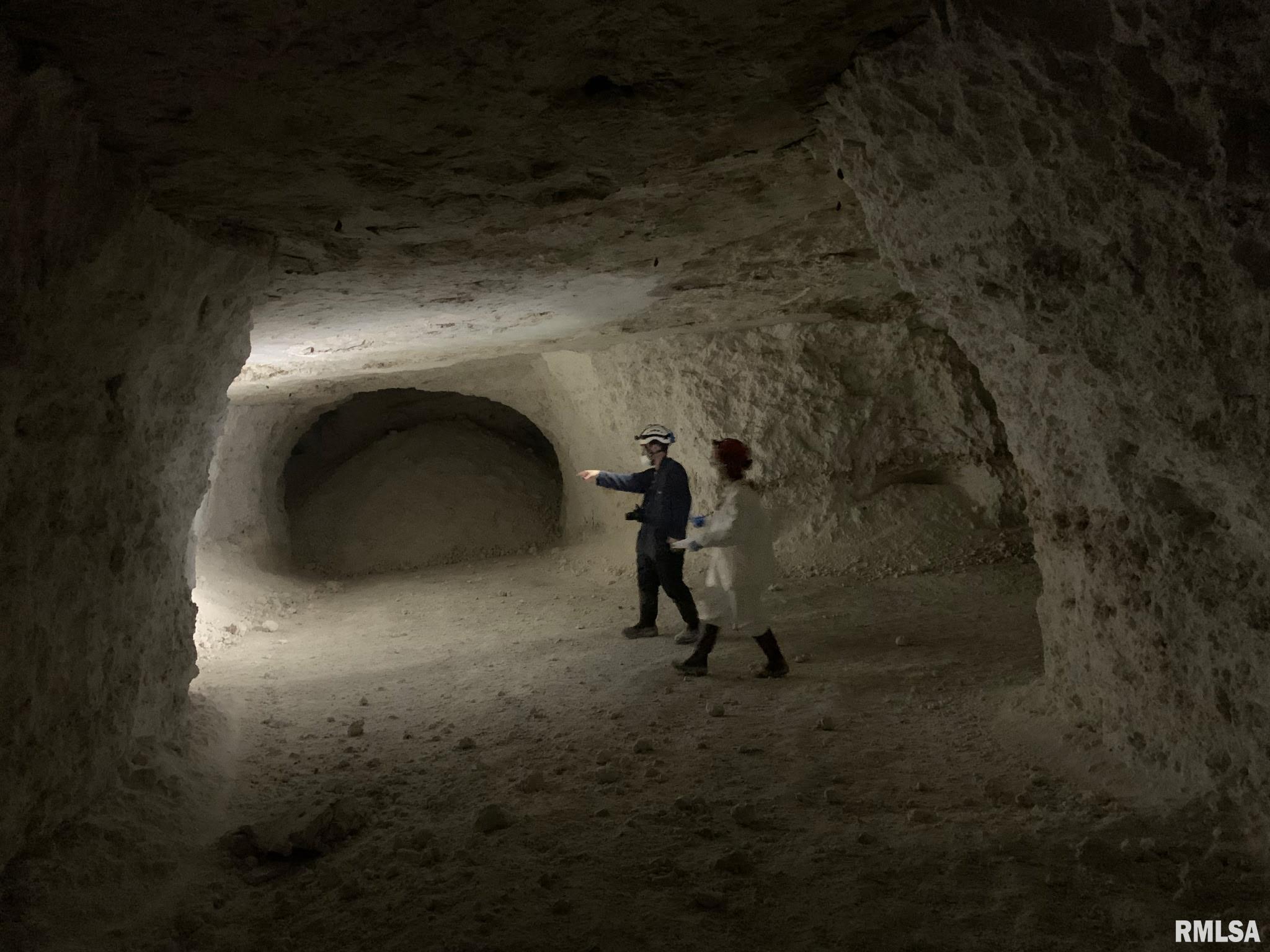 19168 County Line Road Jonesboro, IL 62952 - Photo 7 of 53