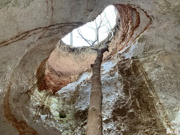 $1,202,800 | 19168 County Line Road, Jonesboro, IL 62952