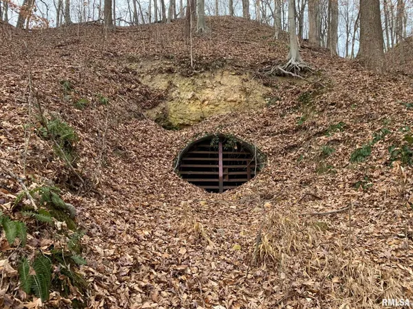 $1,202,800 | 19168 County Line Road, Jonesboro, IL 62952