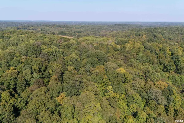 $1,202,800 | 19168 County Line Road, Jonesboro, IL 62952