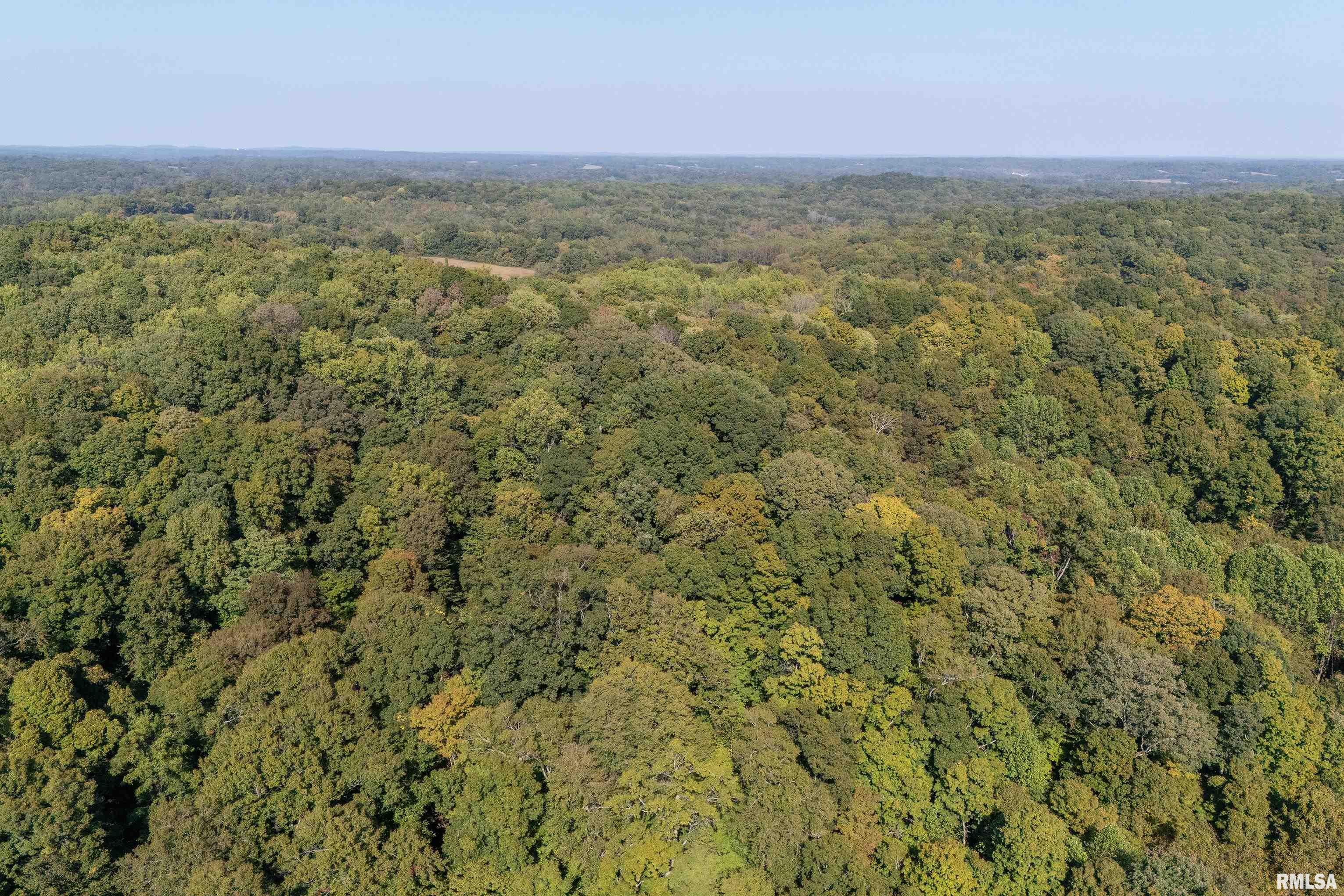 19168 County Line Road Jonesboro, IL 62952 - Photo 10 of 53