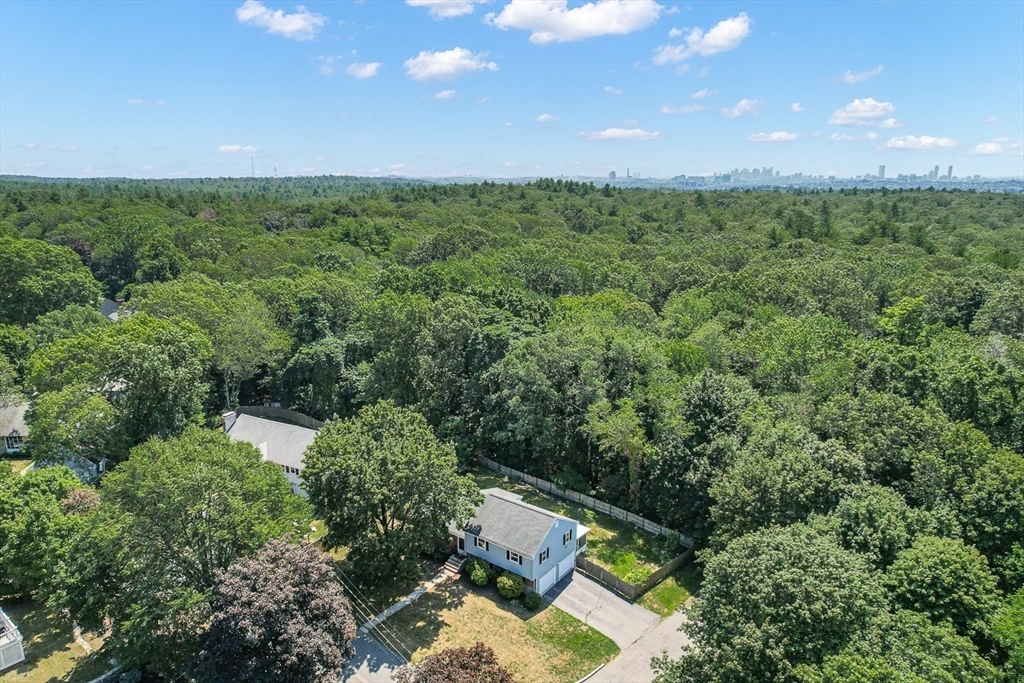 17 Dennett Road Winchester, MA 01890 - Photo 37 of 41 a view of a green yard