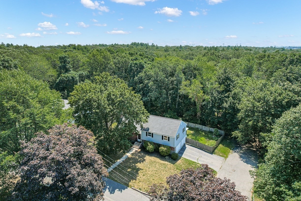 17 Dennett Road Winchester, MA 01890 - Photo 38 of 41 a view of a back yard from a garden