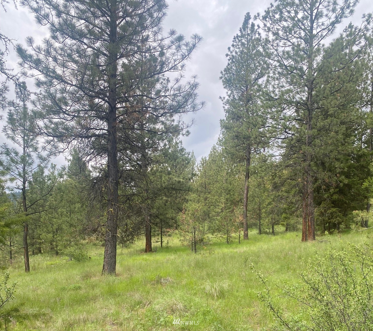 1111 Bench Creek Road Tonasket, WA 98855 - Photo 1 of 5 Gallery Image 1