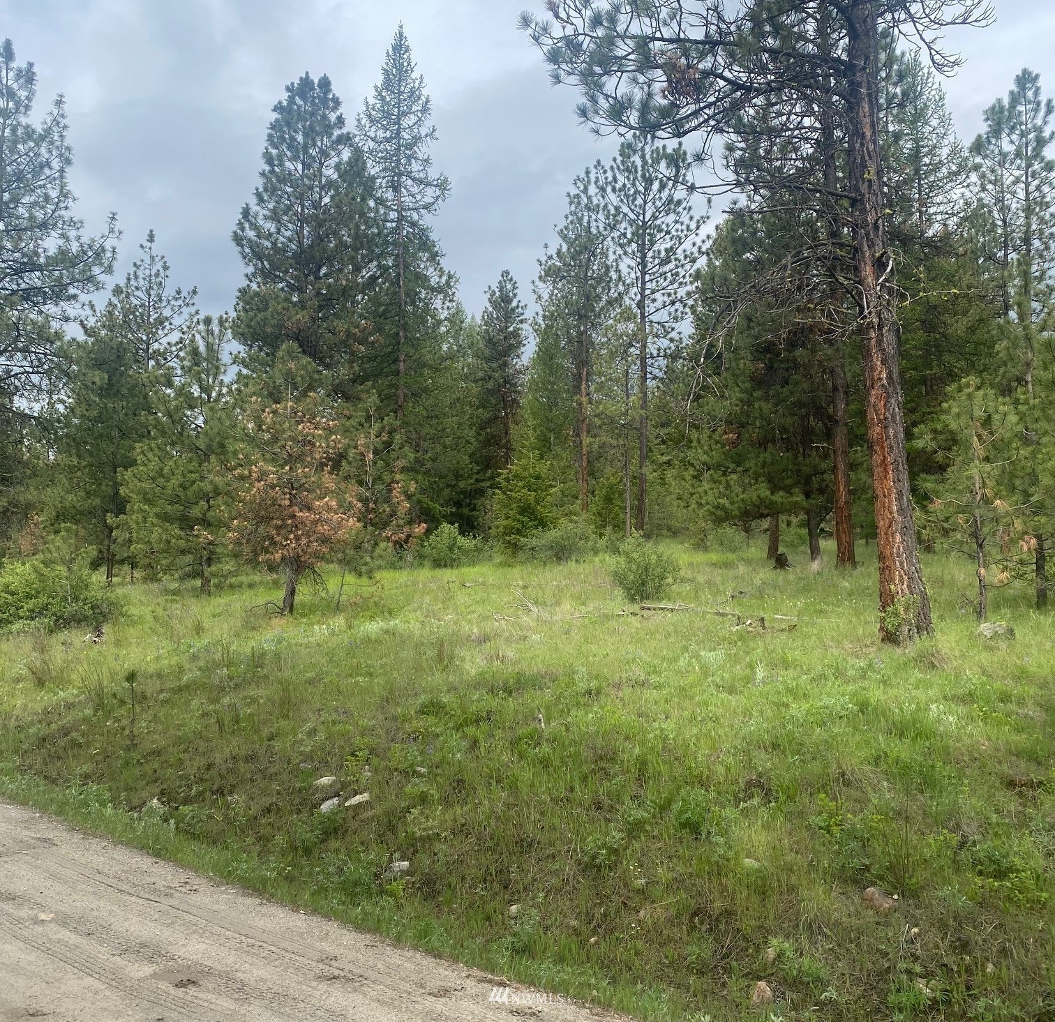 1111 Bench Creek Road Tonasket, WA 98855 - Photo 2 of 5 Gallery Image 2