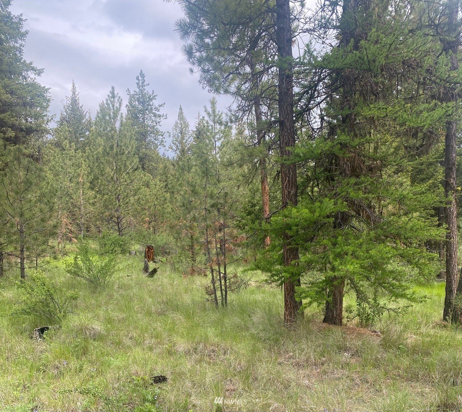 1111 Bench Creek Road Tonasket, WA 98855 - Photo 3 of 5 Gallery Image 3