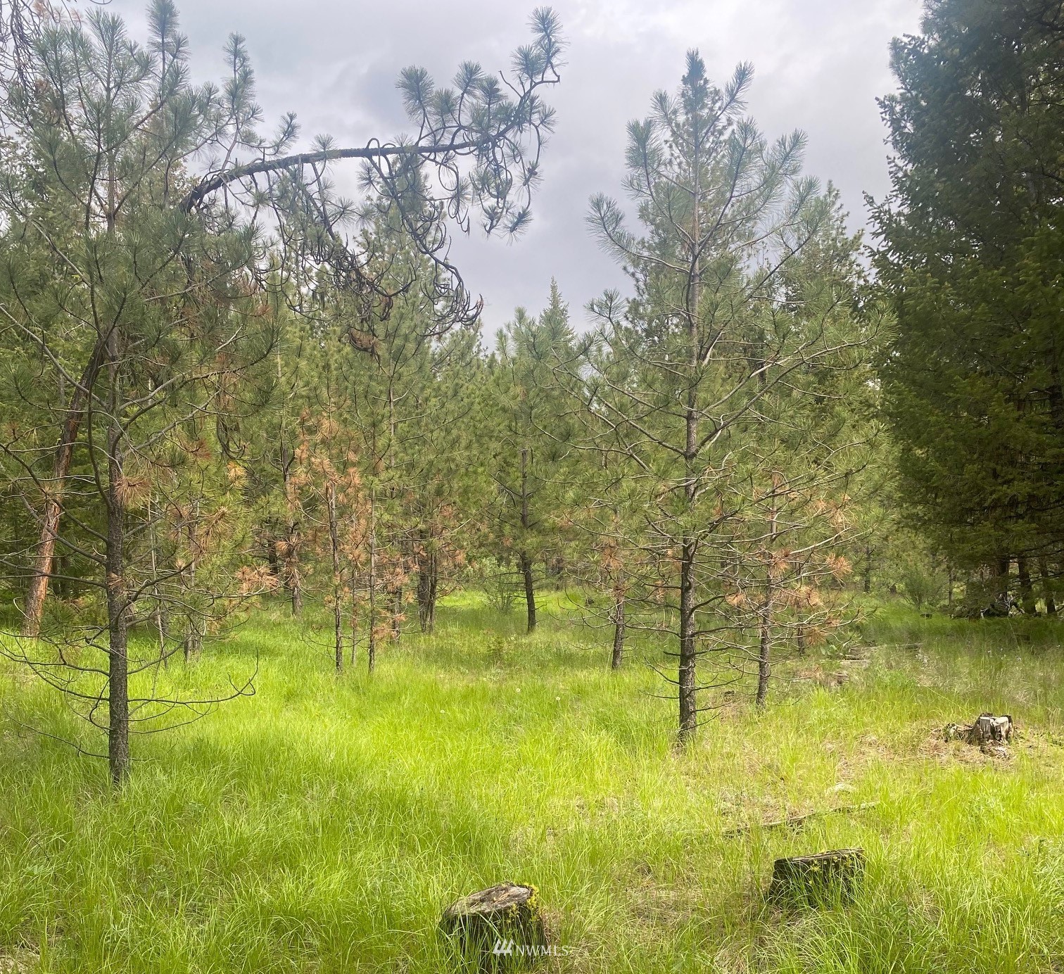 1111 Bench Creek Road Tonasket, WA 98855 - Photo 4 of 5 Gallery Image 4