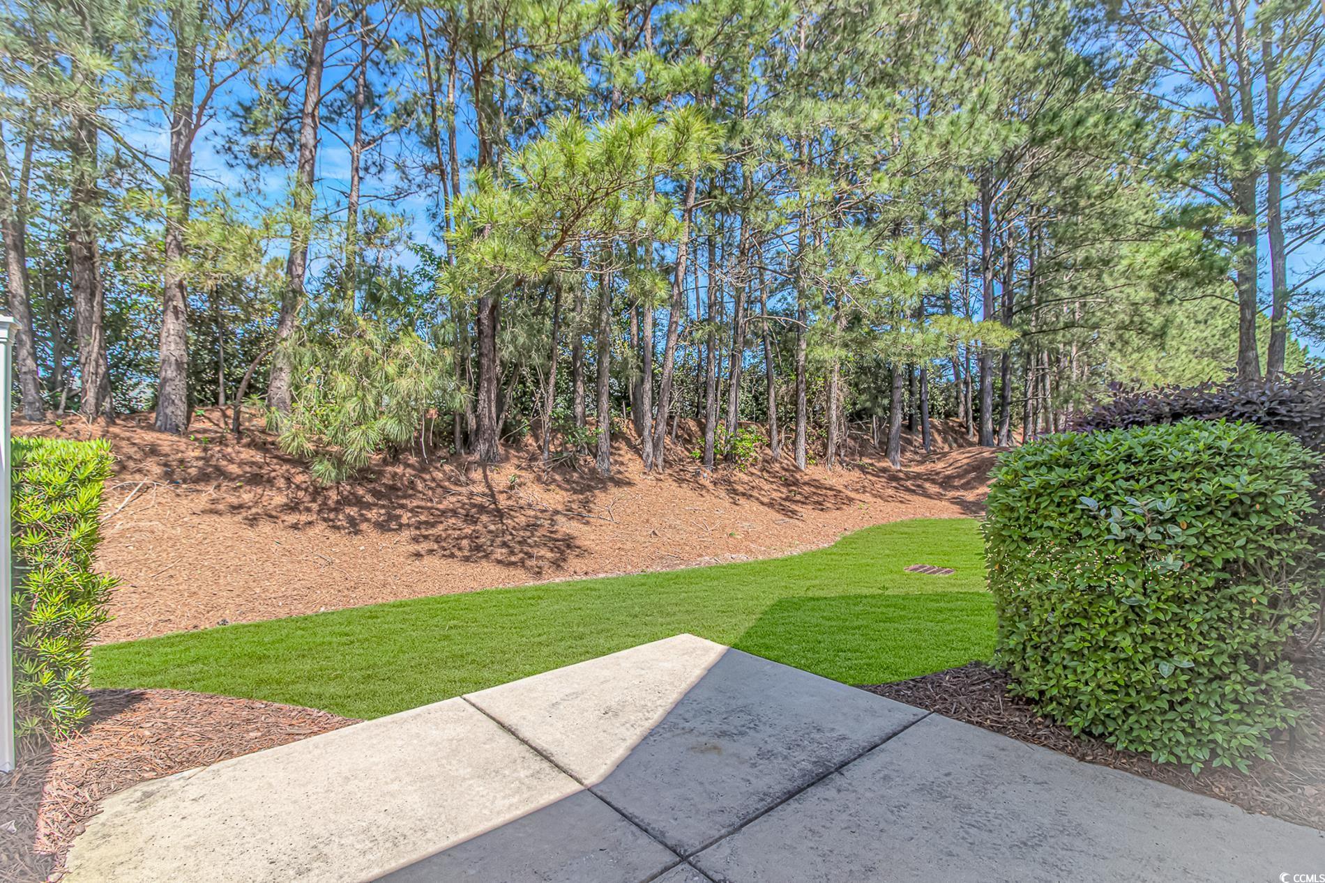 139 Chenoa Drive, Unit D Murrells Inlet, SC 29576 - Photo 27 of 34 View of yard