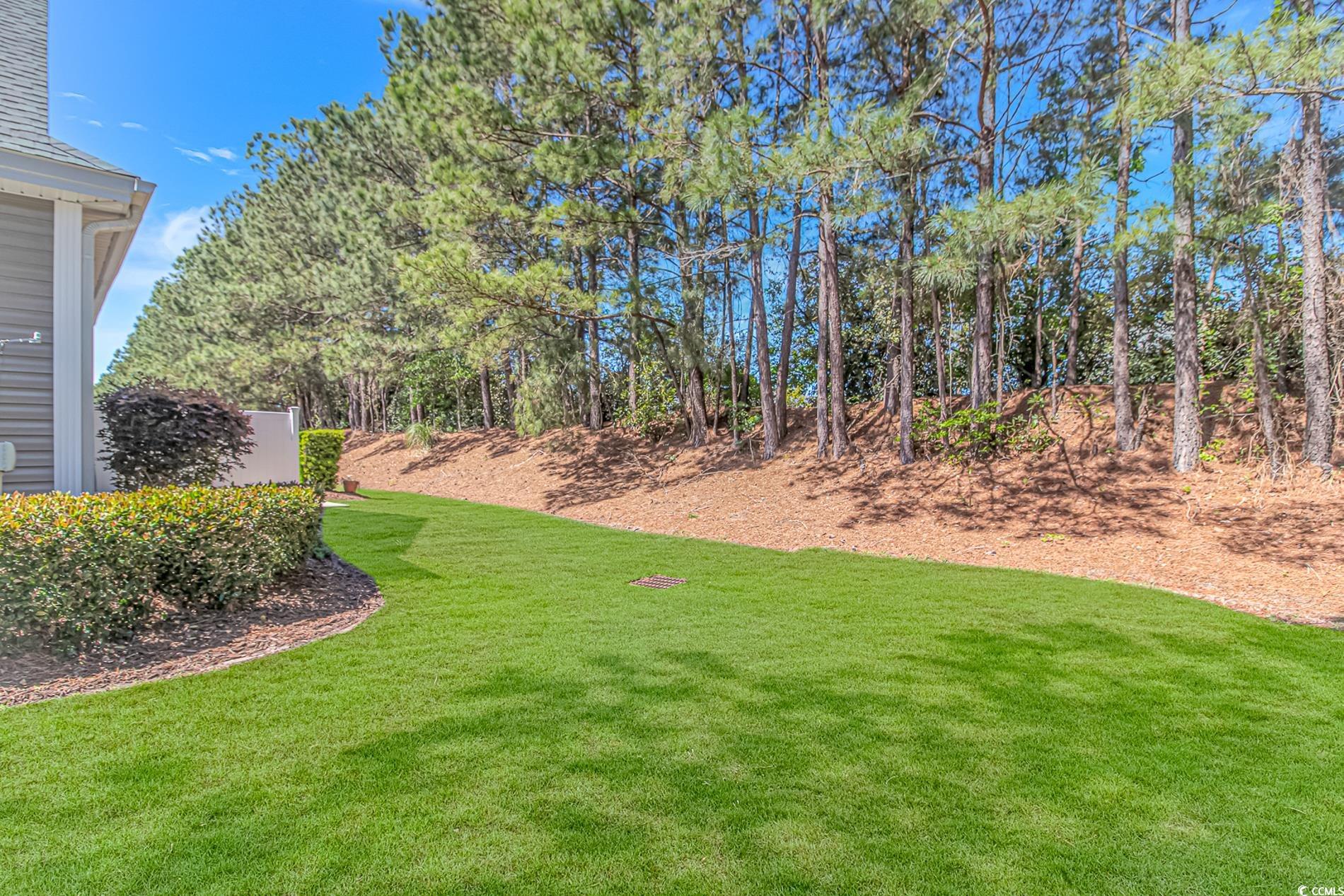 139 Chenoa Drive, Unit D Murrells Inlet, SC 29576 - Photo 33 of 34 View of yard