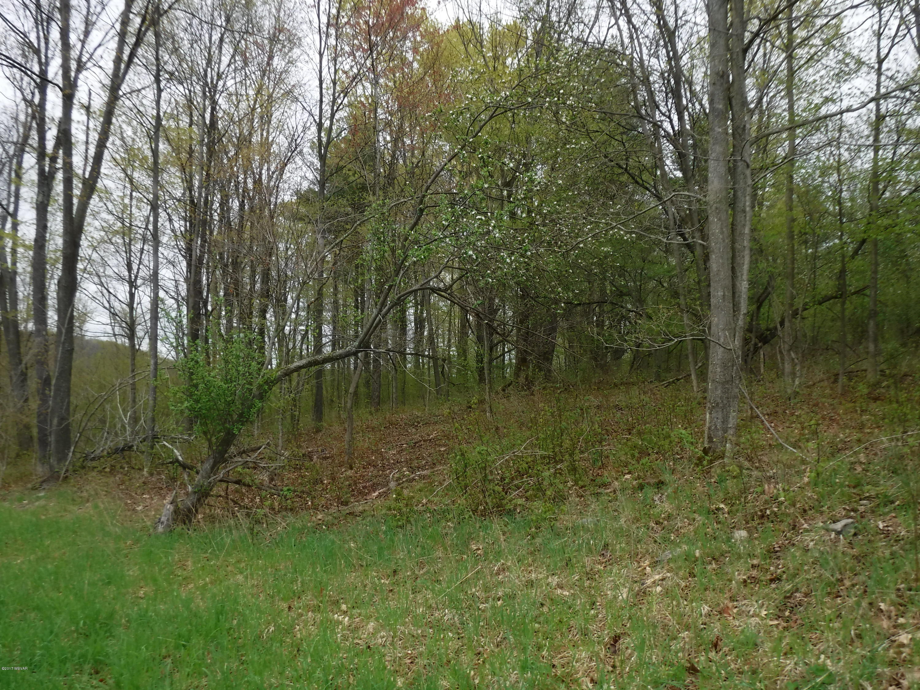 0 Beebe Road New Albany, PA 18833 - Photo 24 of 27 DSCF0186