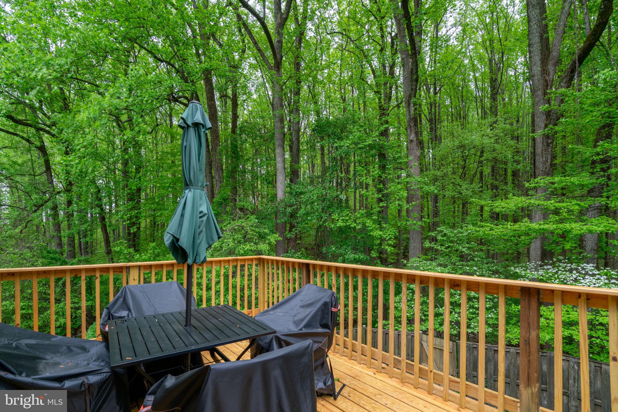 1314 Alderton Lane Silver Spring, MD 20906 - Photo 12 of 72