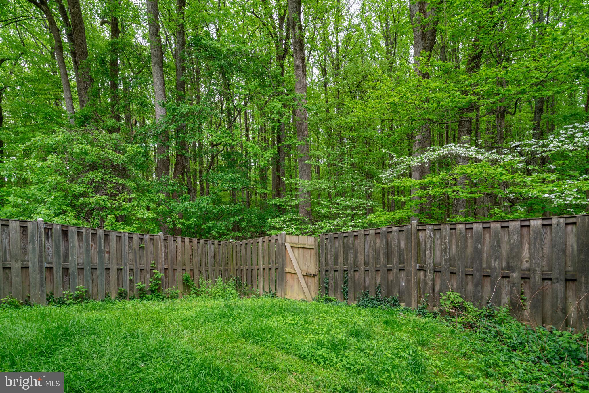1314 Alderton Lane Silver Spring, MD 20906 - Photo 13 of 72