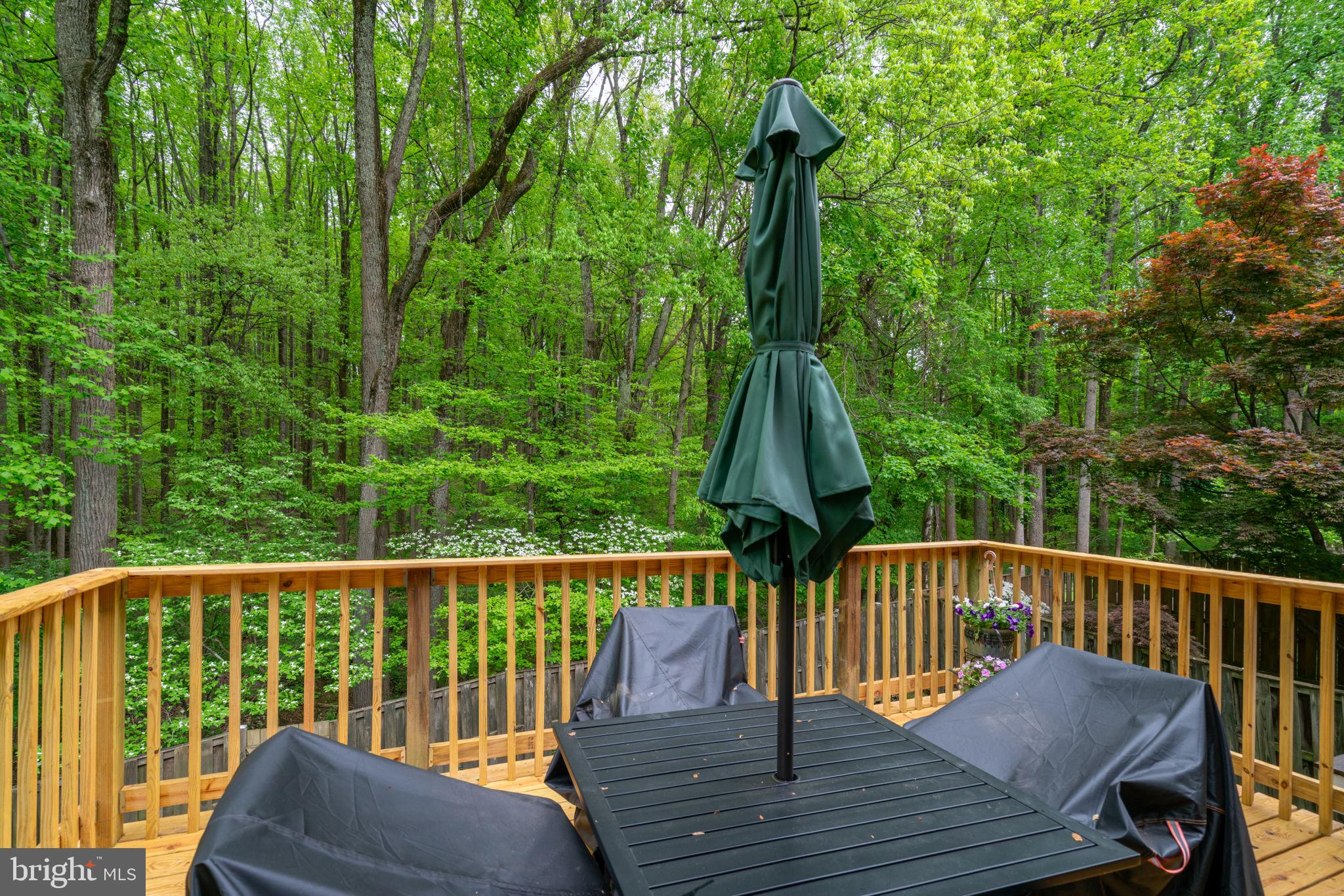 1314 Alderton Lane Silver Spring, MD 20906 - Photo 7 of 72