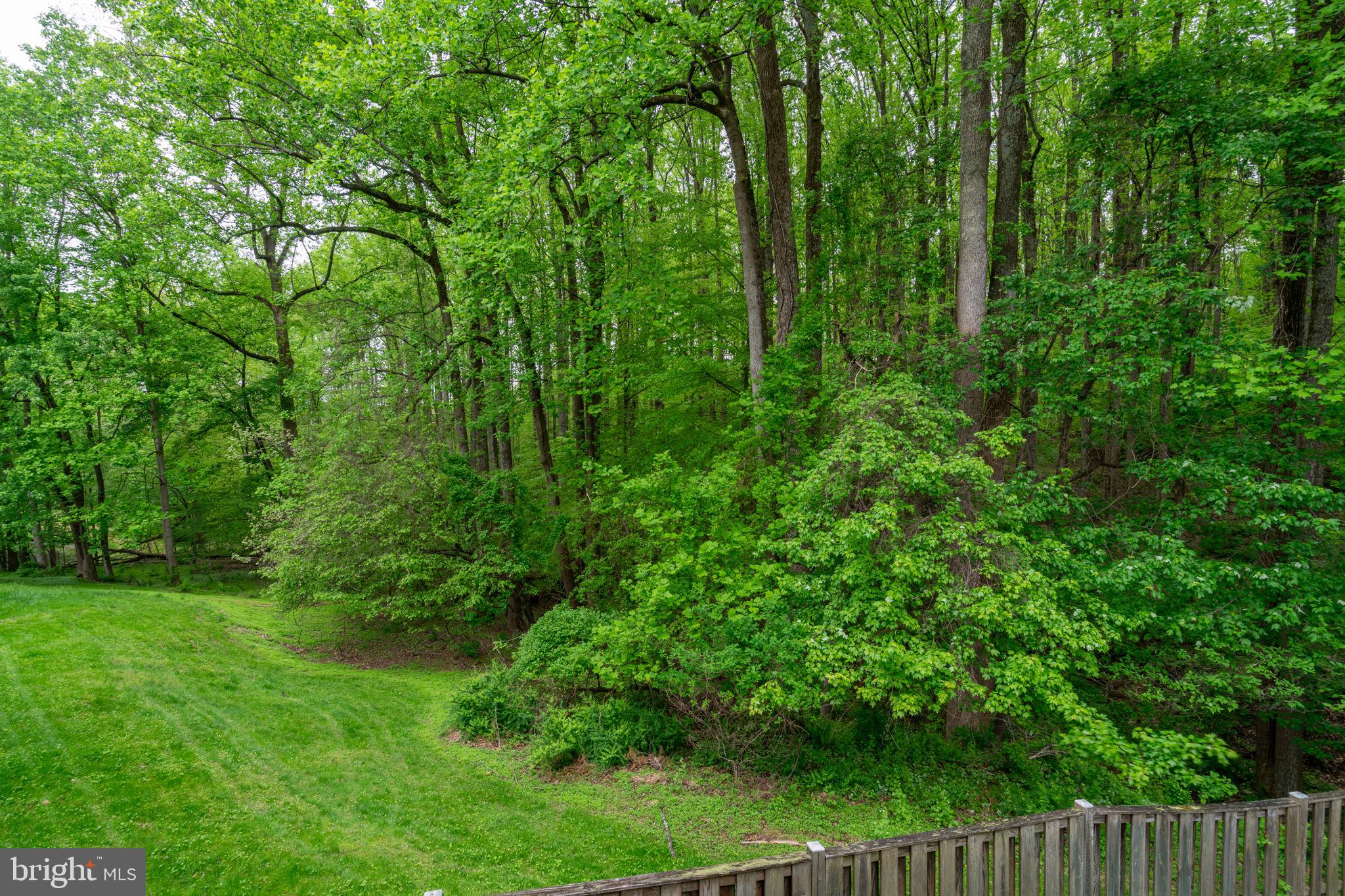 1314 Alderton Lane Silver Spring, MD 20906 - Photo 8 of 72