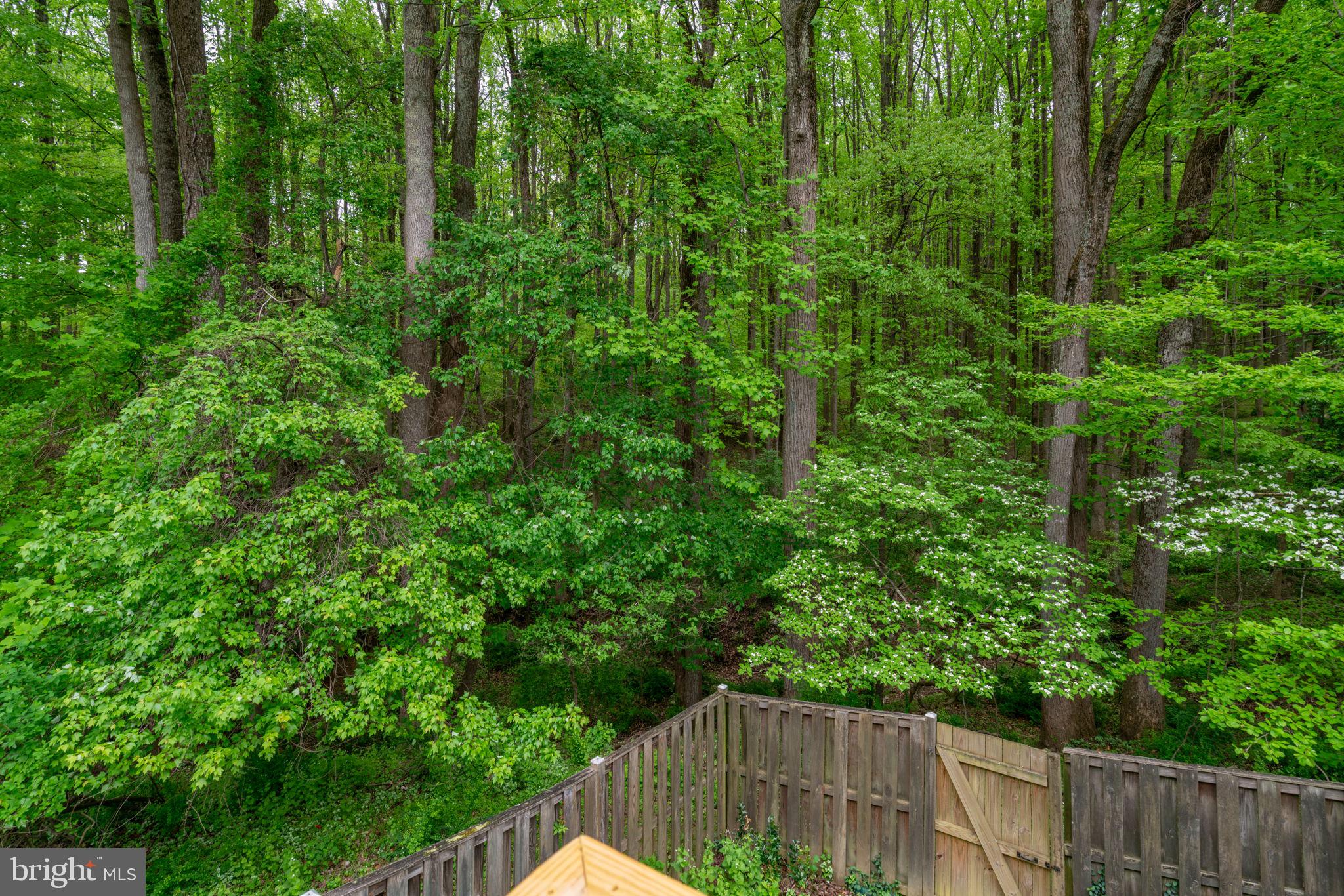 1314 Alderton Lane Silver Spring, MD 20906 - Photo 9 of 72