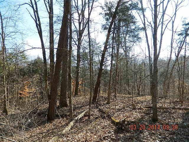 820 New Fox Road Irvine, KY 40336 - Photo 54 of 64 Photo 54