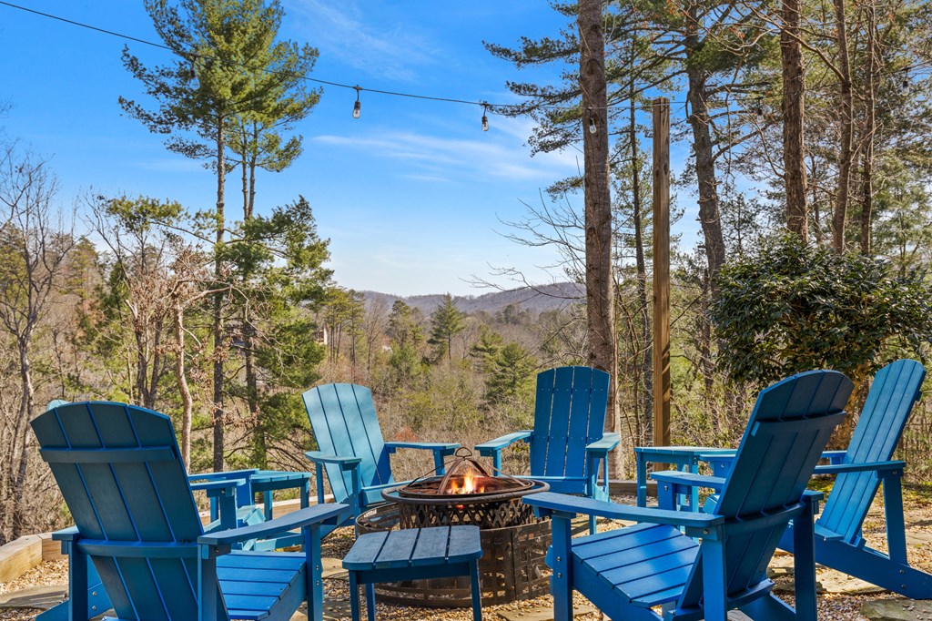 79 Sunrise Gap Blue Ridge, GA 30513 - Photo 38 of 49 Gallery Image 38