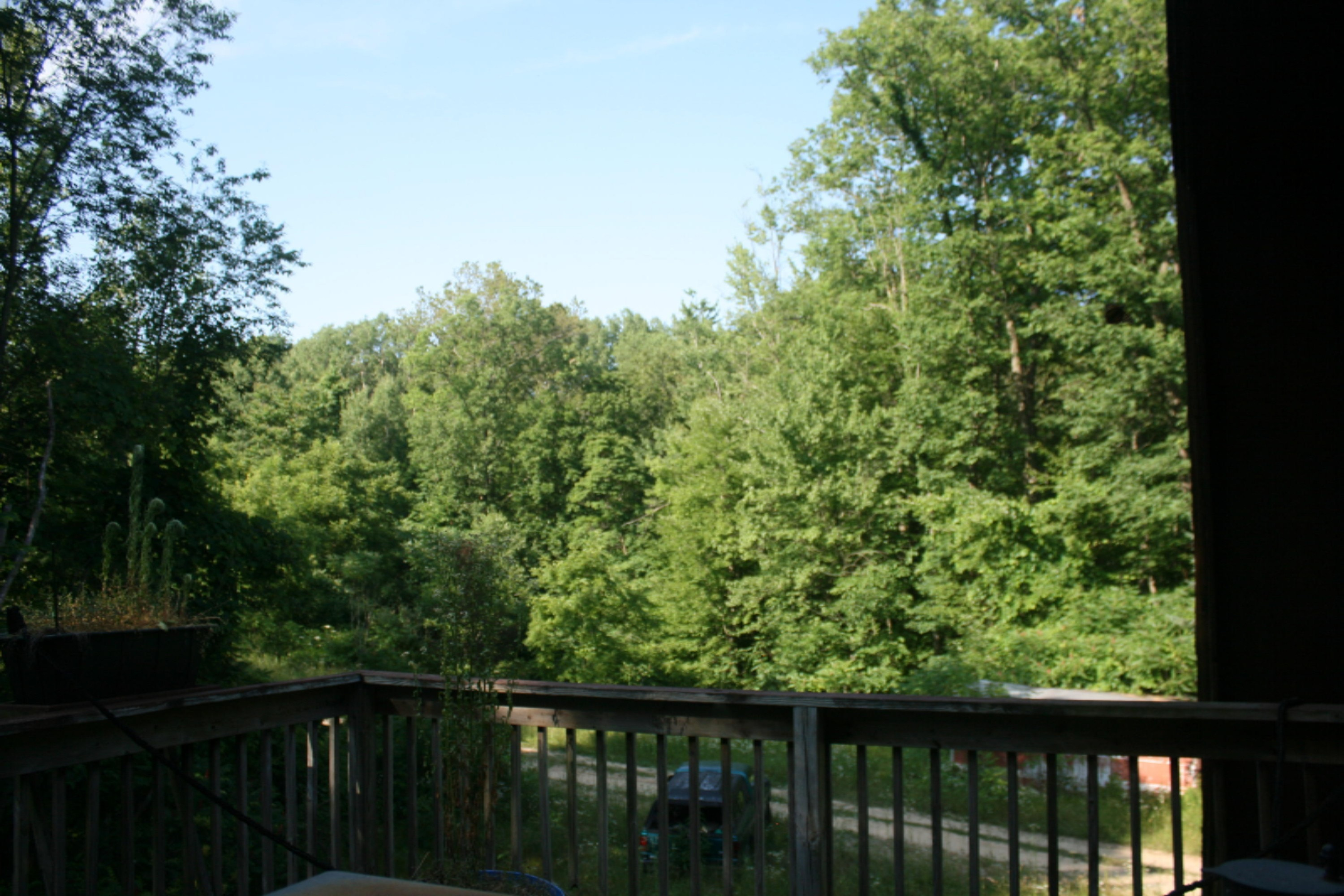 5454 Parmalee Road Middleville, MI 49333 - Photo 5 of 15 IMG_4626