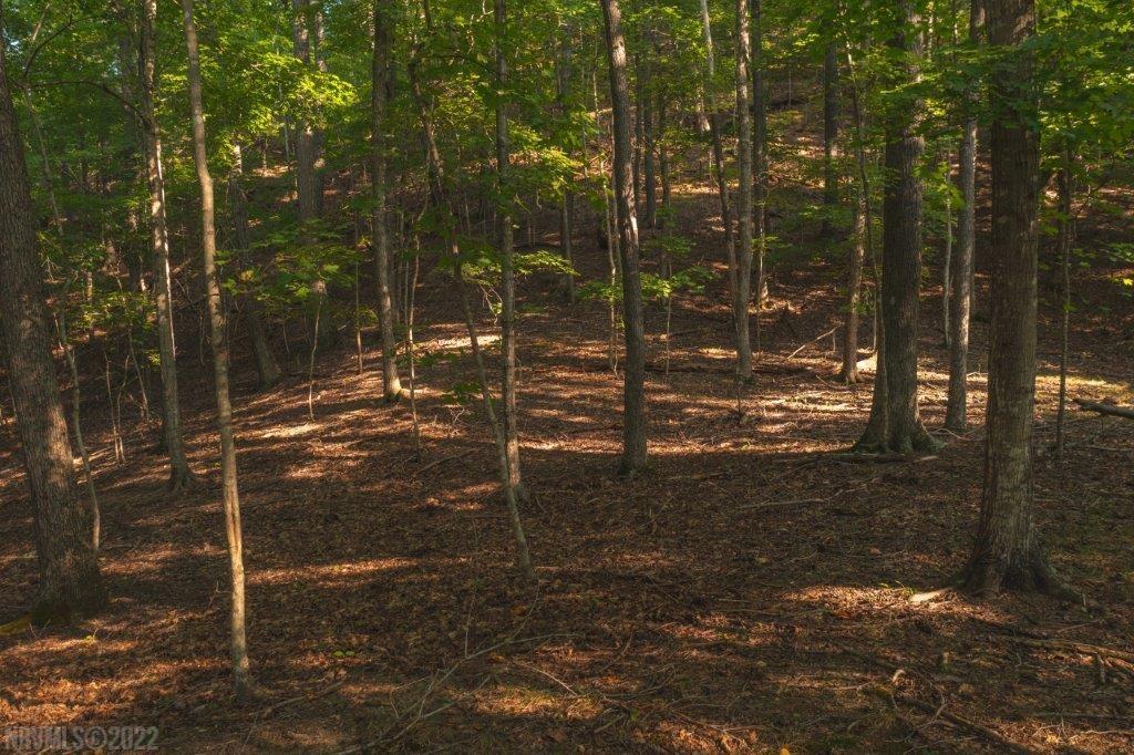 Tbd North Fork Road Elliston, VA 24087 - Photo 11 of 26 Gallery Image 11