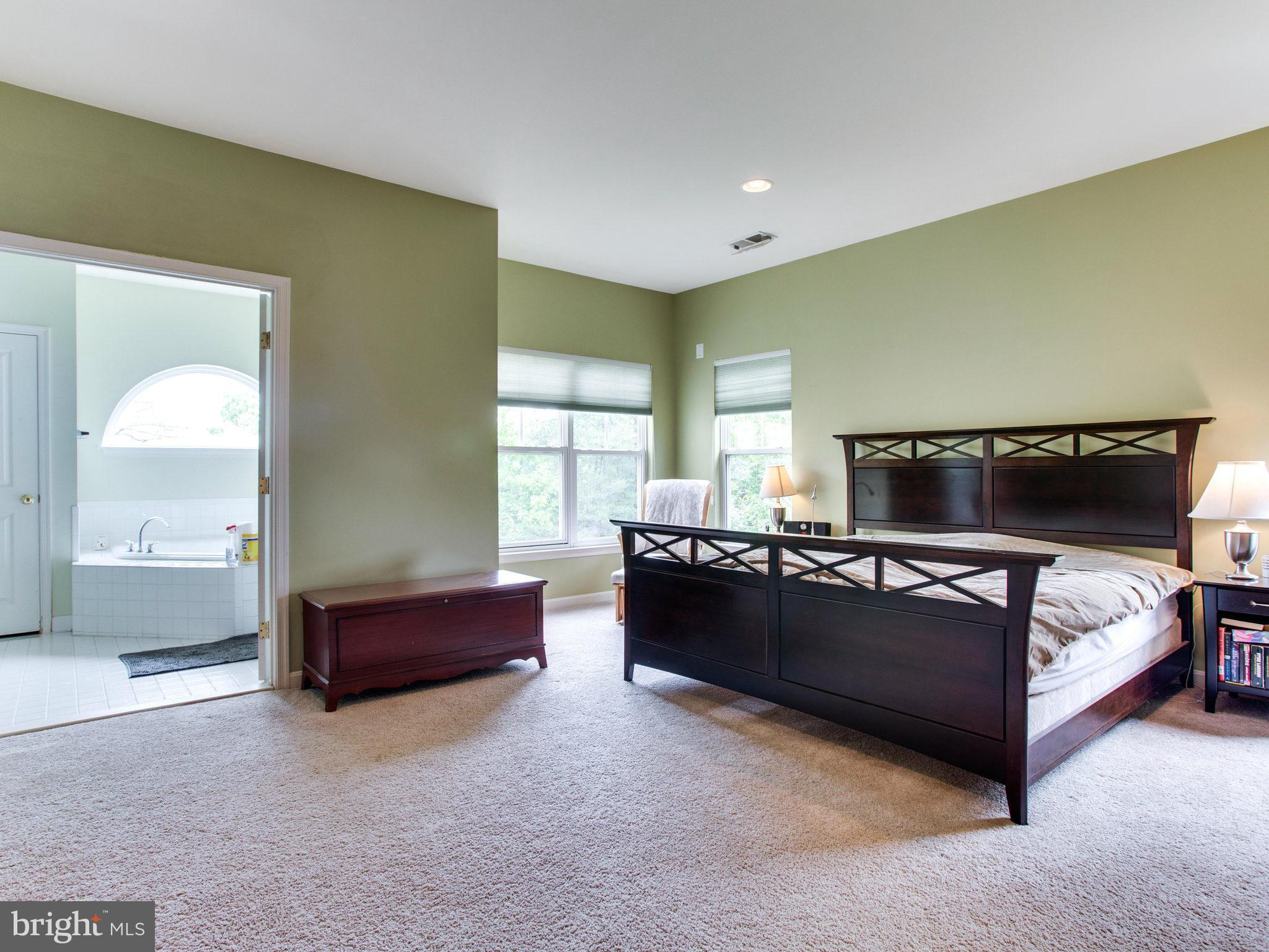 9069 Roaring Spring Loop Bristow, VA 20136 - Photo 20 of 30 Bedroom (Master)