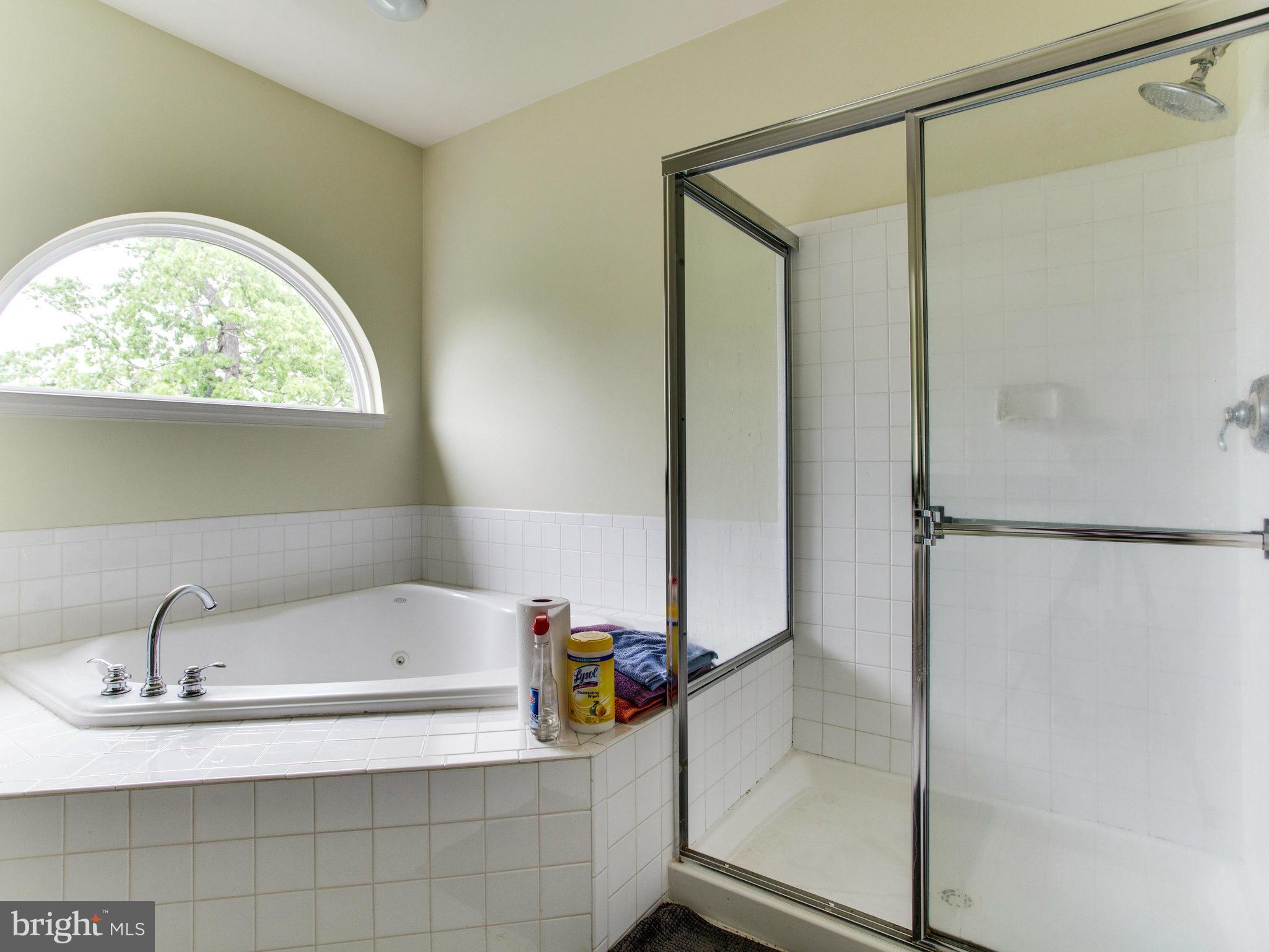 9069 Roaring Spring Loop Bristow, VA 20136 - Photo 23 of 30 Bath (Master)