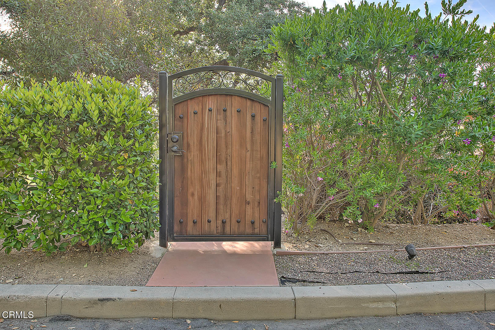 3255 Buckingham Road Glendale, CA 91206 - Photo 51 of 70 SOL_4685_6_7-2 (1)