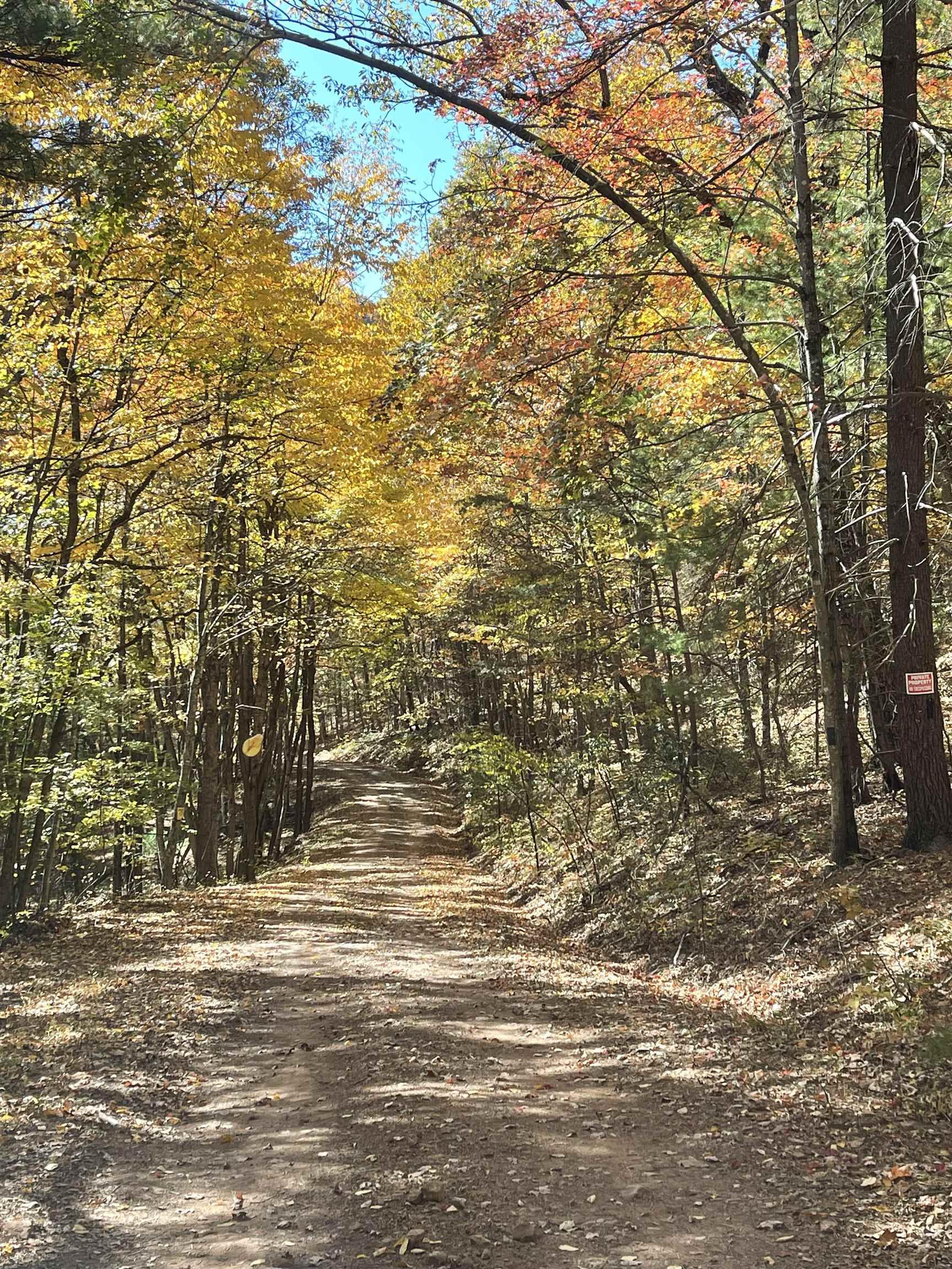 Tbd Tbd Mckittricks Road Churchville, VA 24421 - Photo 31 of 60 Gallery Image 31