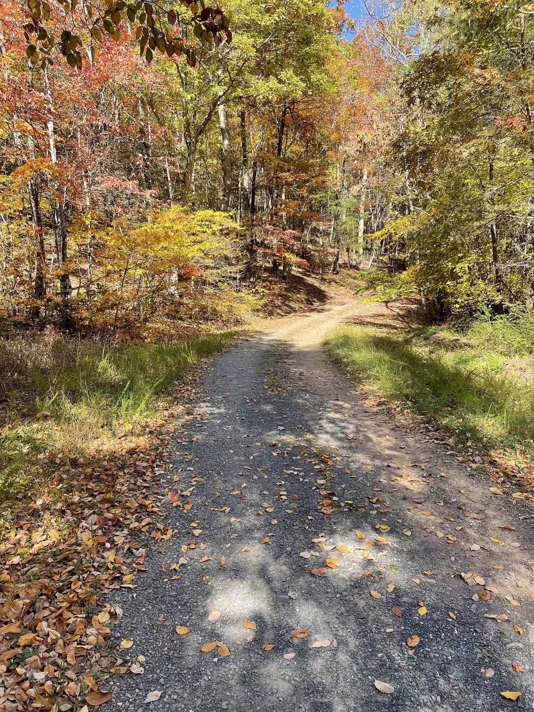 Tbd Tbd Mckittricks Road Churchville, VA 24421 - Photo 34 of 60 Gallery Image 34