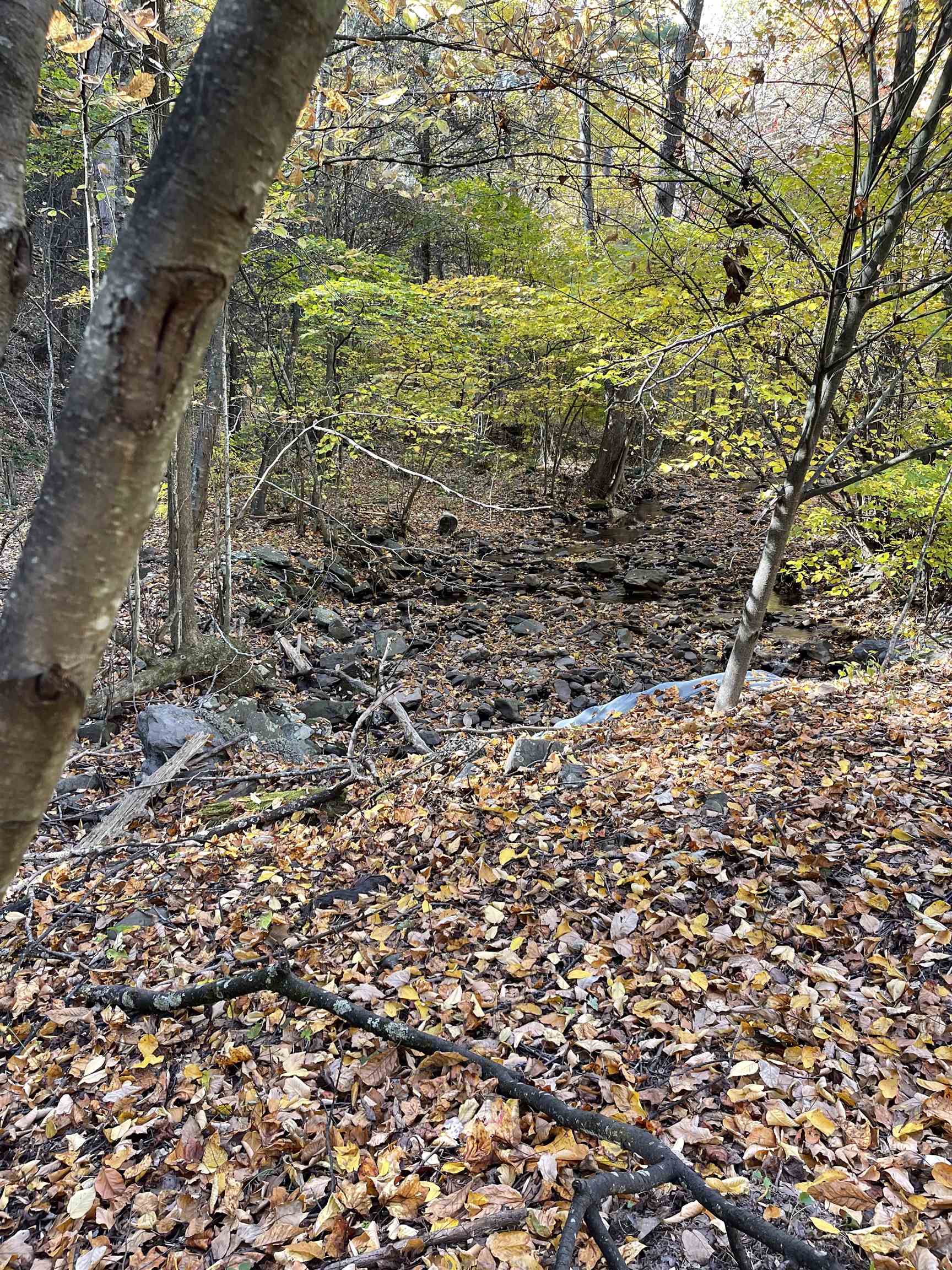 Tbd Tbd Mckittricks Road Churchville, VA 24421 - Photo 36 of 60 Gallery Image 36