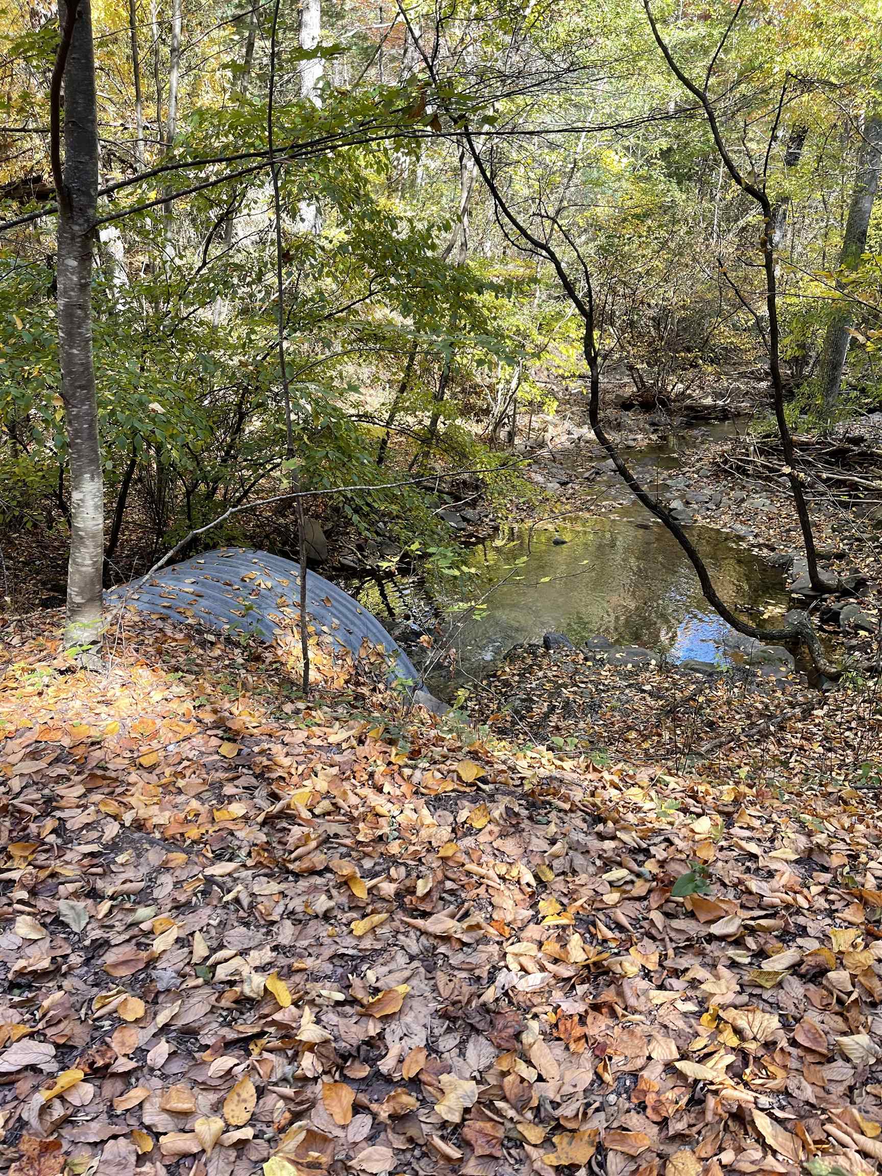 Tbd Tbd Mckittricks Road Churchville, VA 24421 - Photo 38 of 60 Gallery Image 38