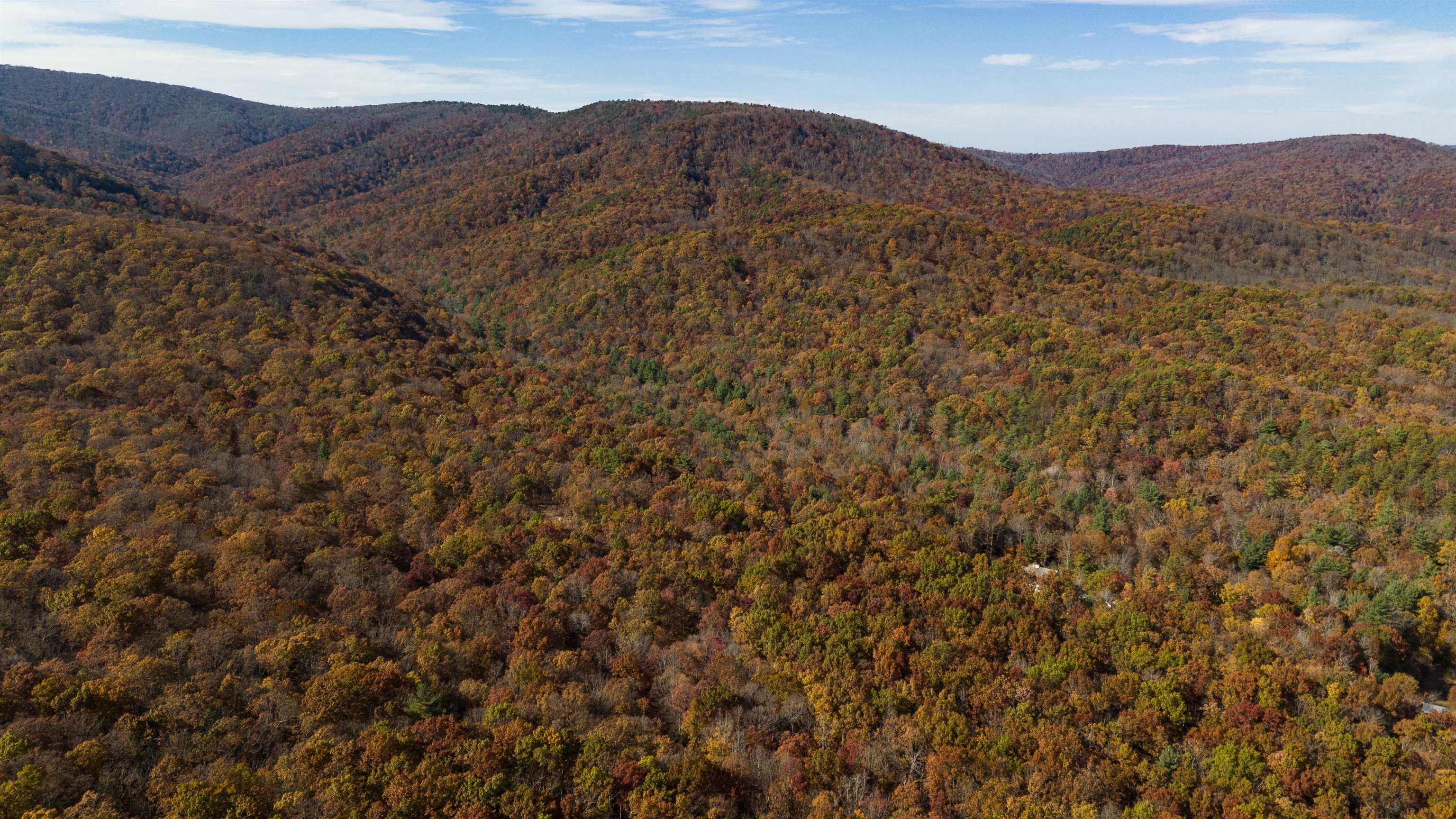 Tbd Tbd Mckittricks Road Churchville, VA 24421 - Photo 54 of 60 Gallery Image 54