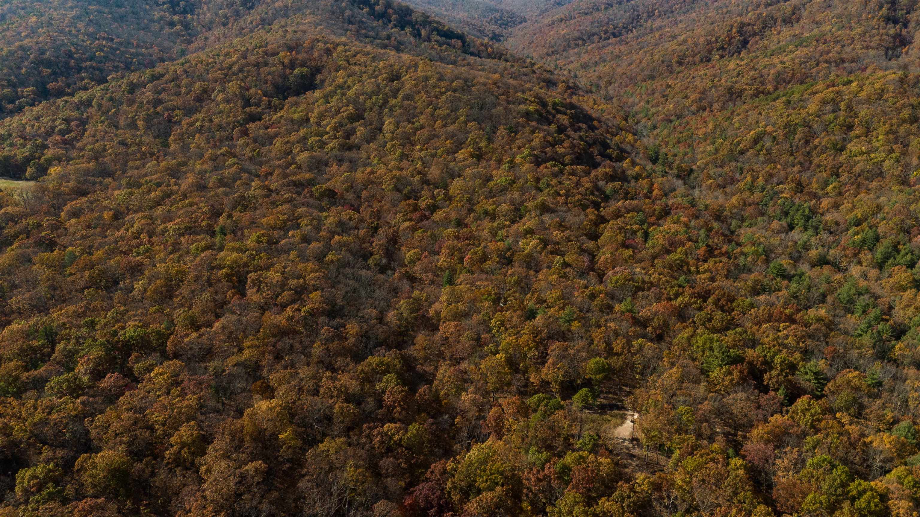 Tbd Tbd Mckittricks Road Churchville, VA 24421 - Photo 56 of 60 Gallery Image 56