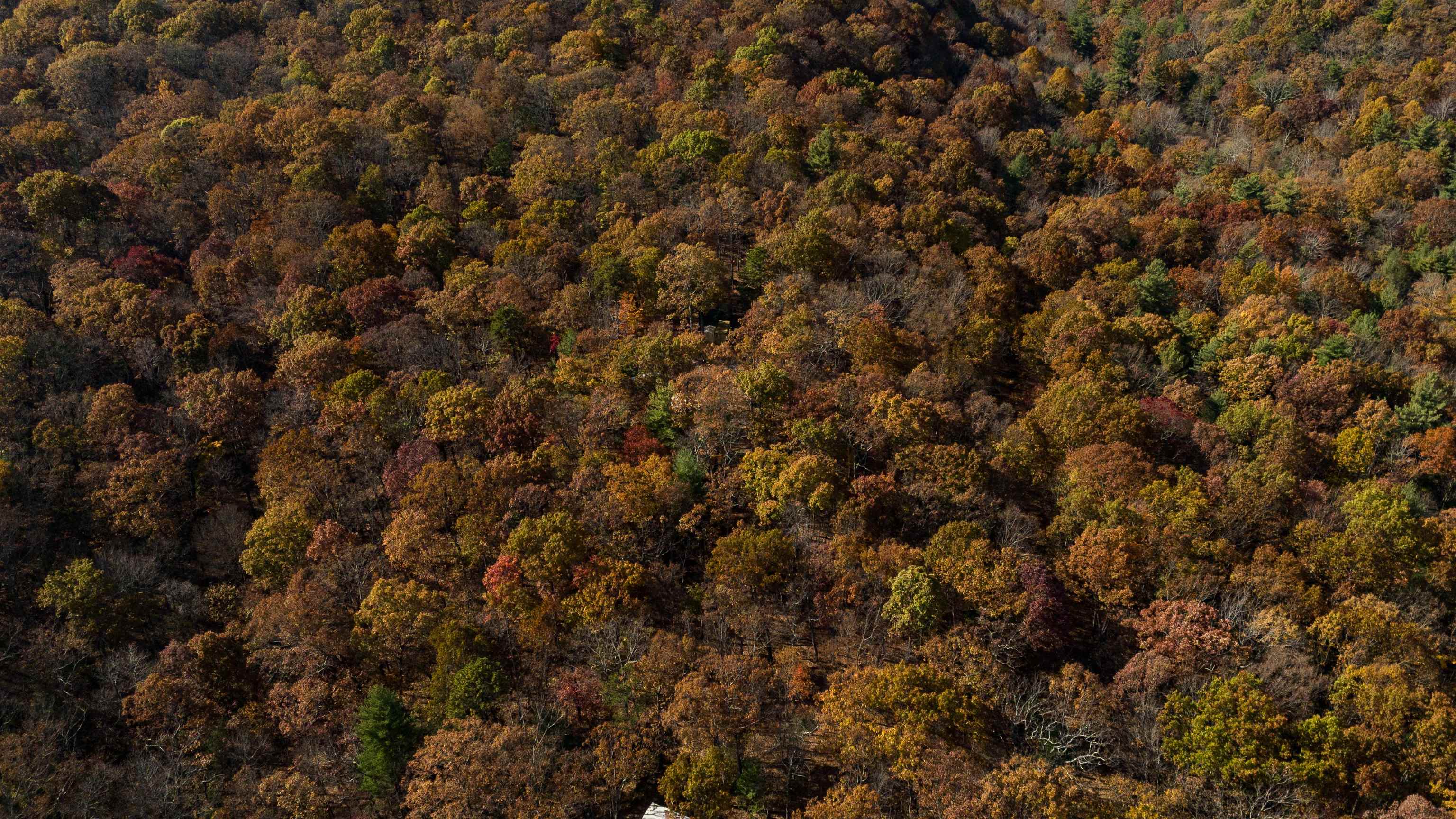 Tbd Tbd Mckittricks Road Churchville, VA 24421 - Photo 58 of 60 Gallery Image 58