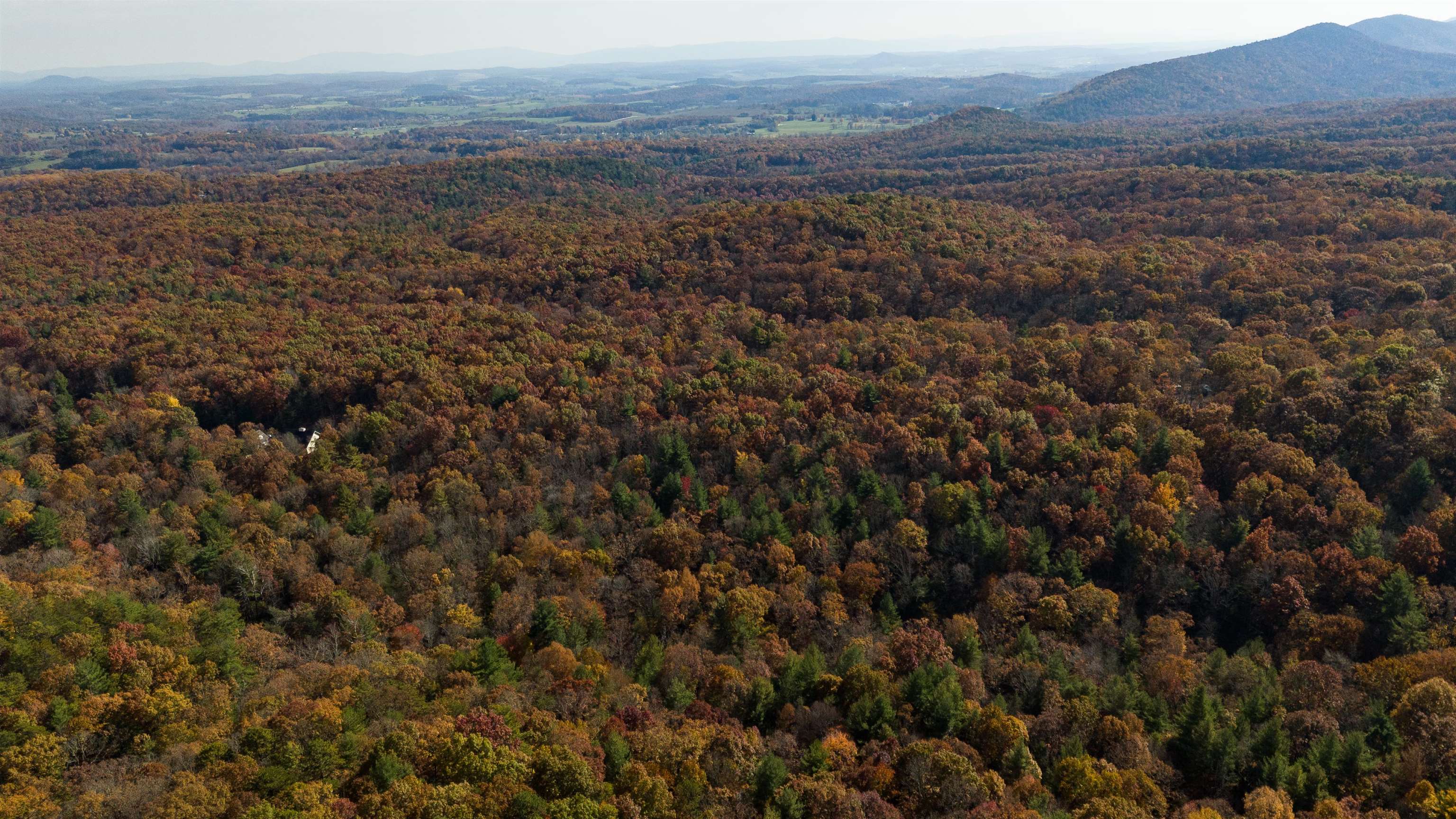 Tbd Tbd Mckittricks Road Churchville, VA 24421 - Photo 59 of 60 Gallery Image 59
