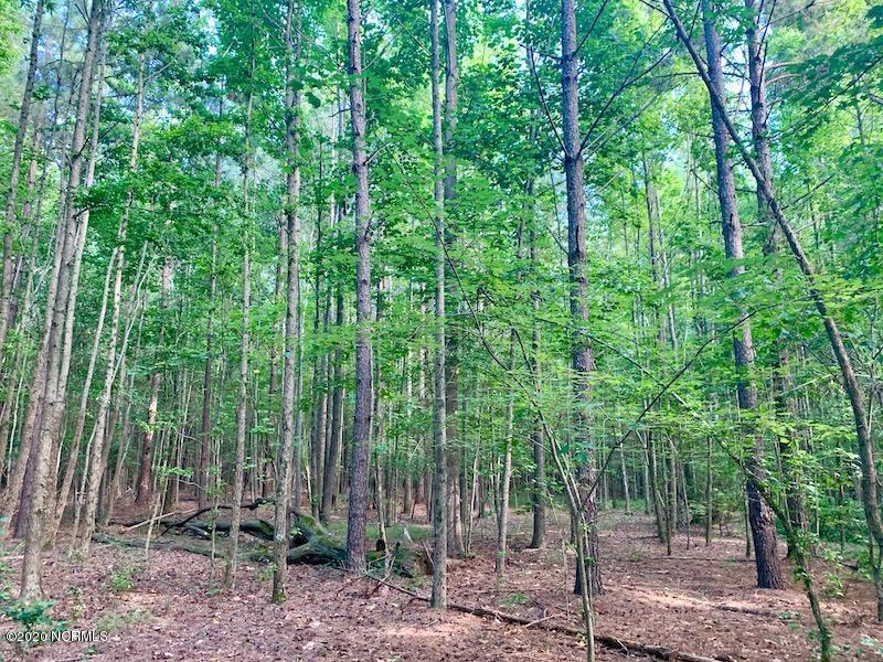 0 Simmons Road Castalia, NC 27816 - Photo 15 of 38 15