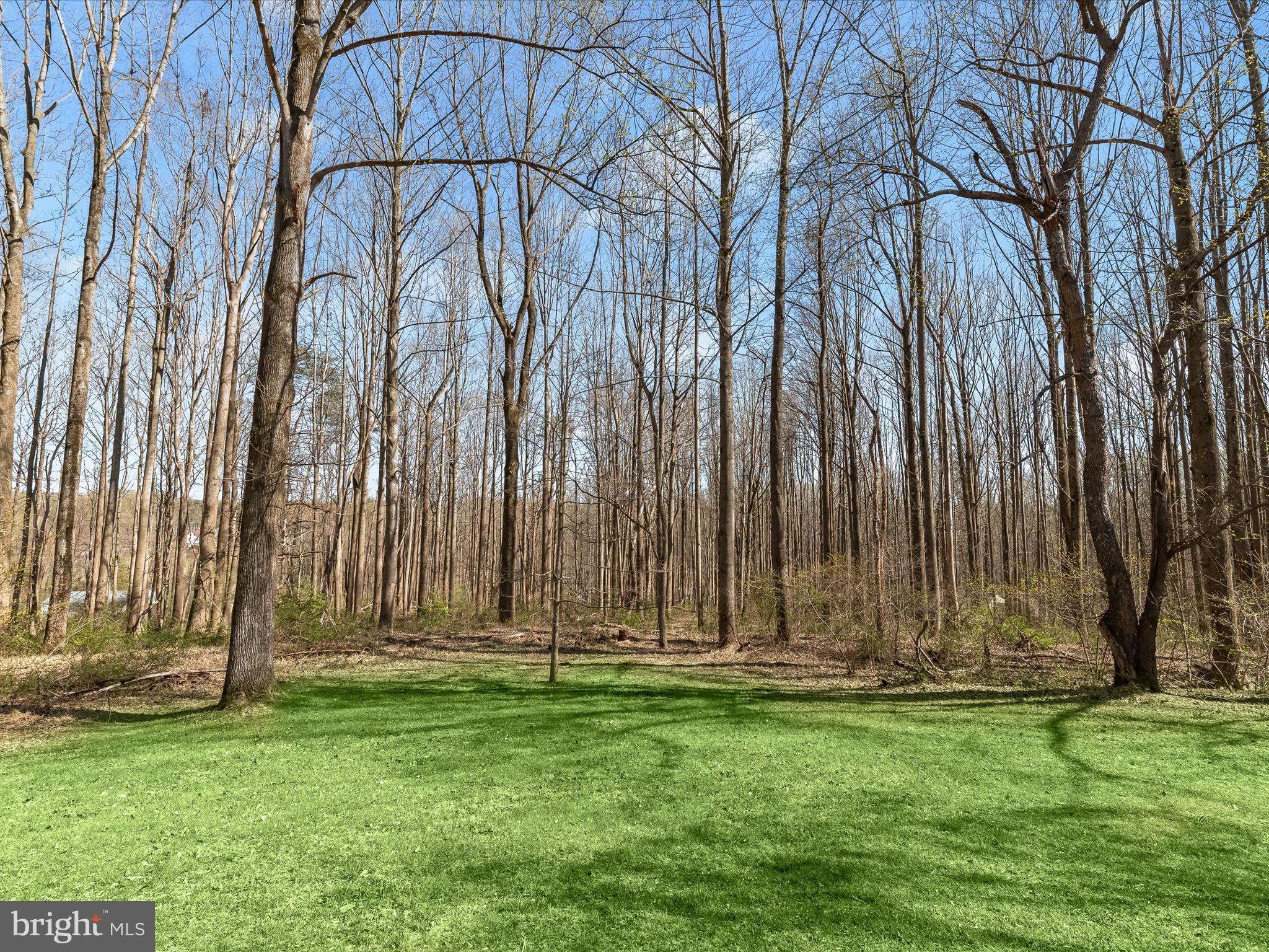 12113 Frederick Road Ellicott City, MD 21042 - Photo 39 of 50 Level yard backing to woods