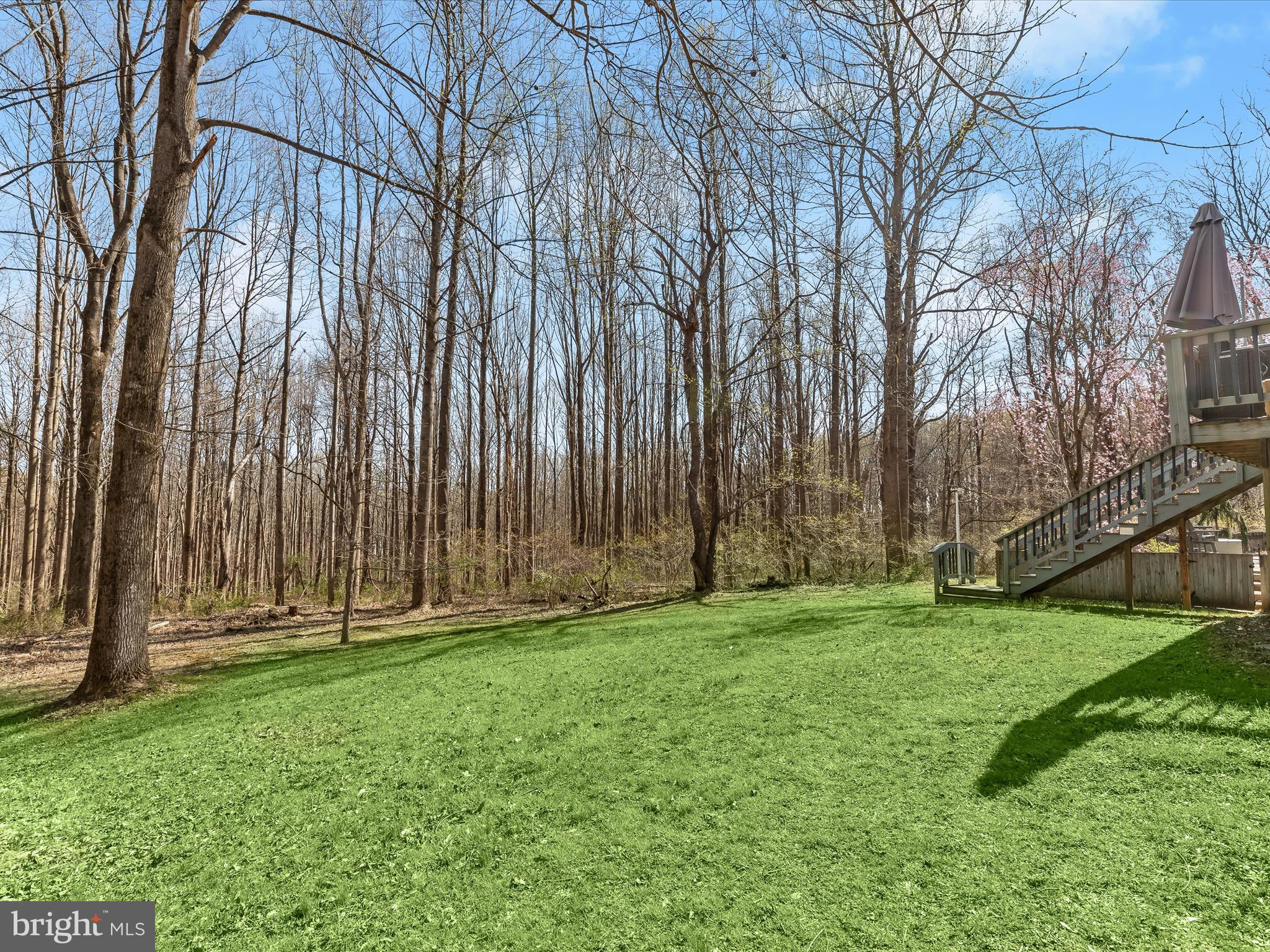 12113 Frederick Road Ellicott City, MD 21042 - Photo 8 of 50 3.5 beautiful acres with a swimming pool