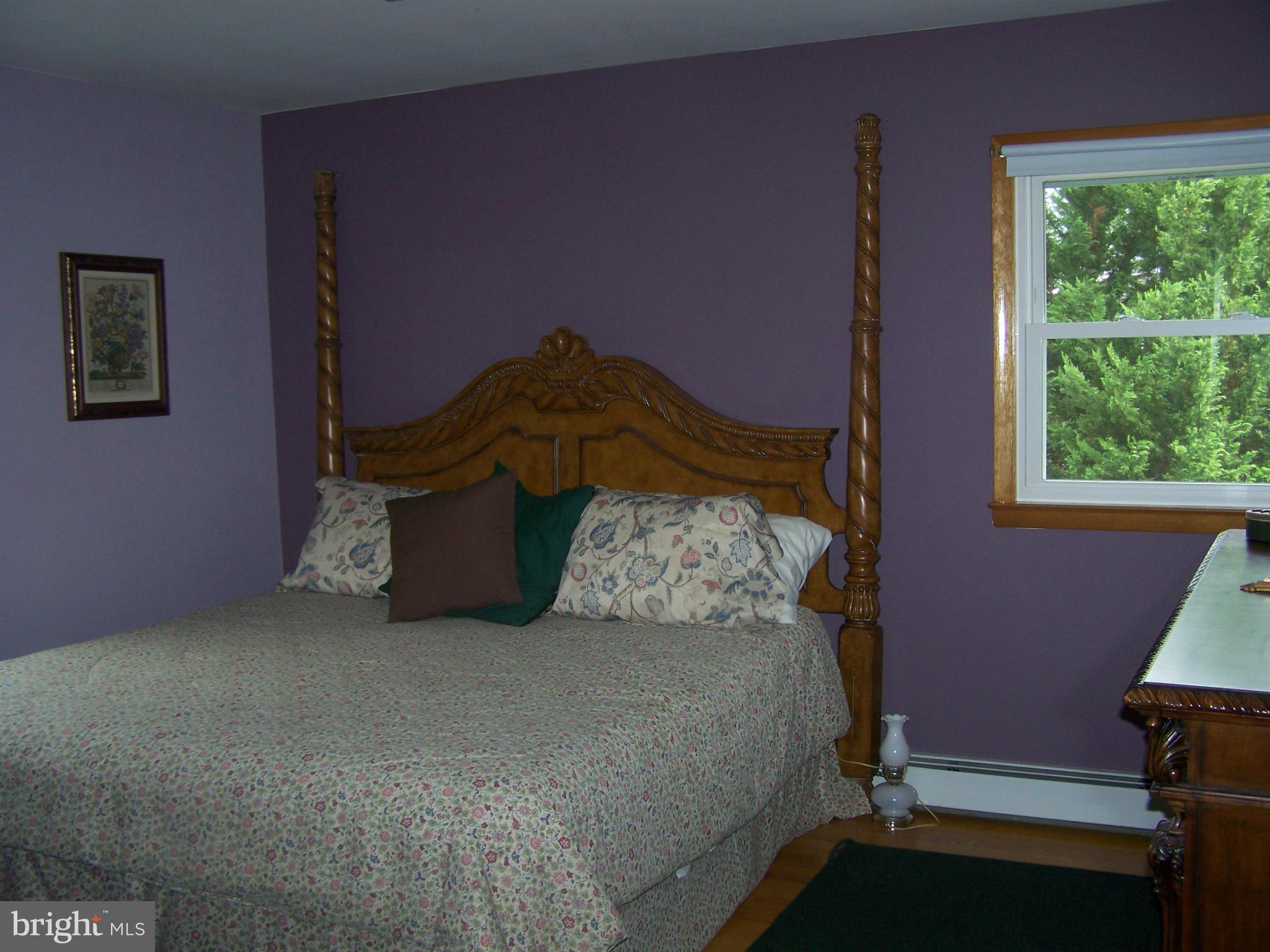 5825 Cabbage Spring Road Mount Airy, MD 21771 - Photo 12 of 29 Bedroom (Master)