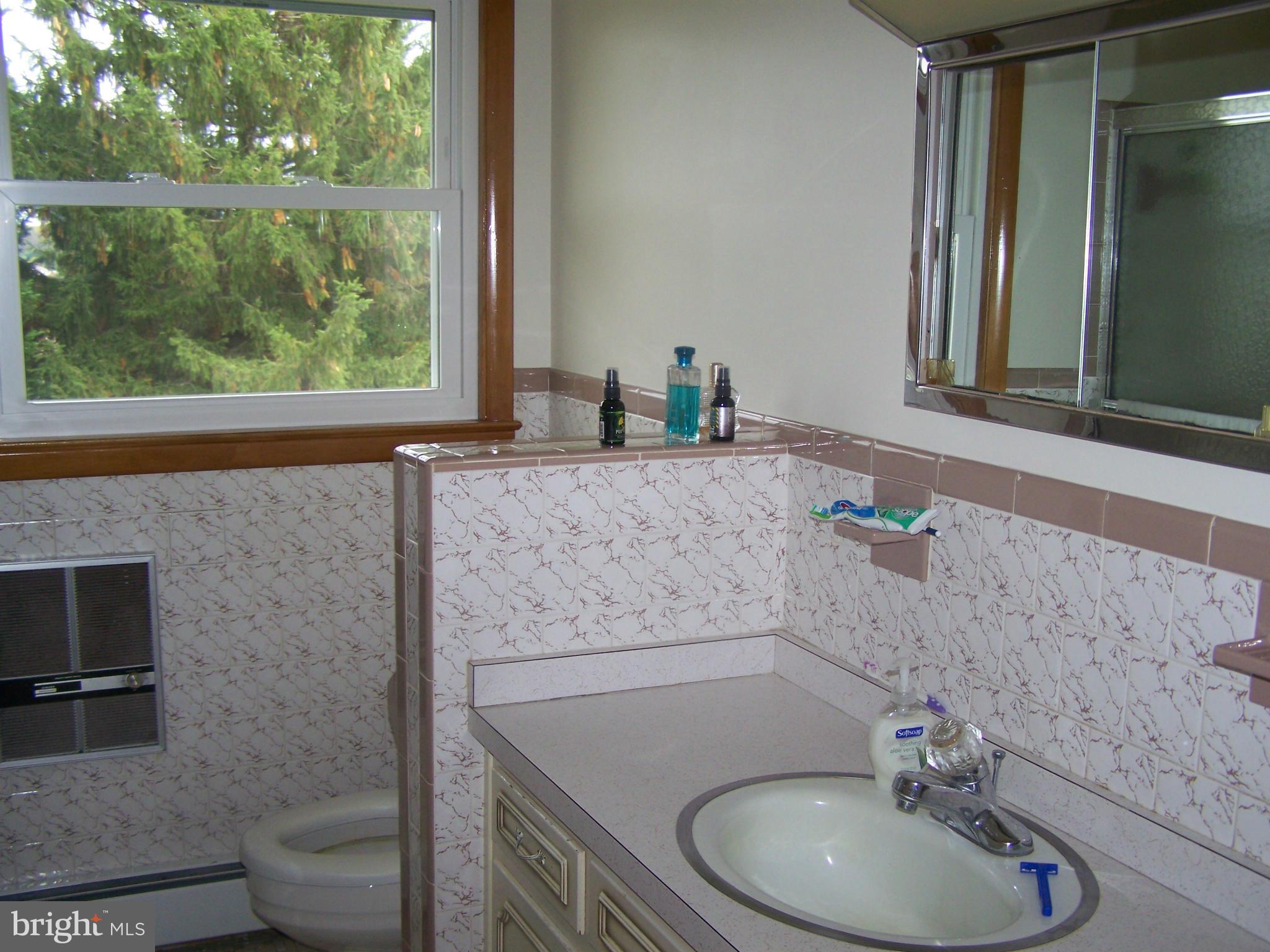 5825 Cabbage Spring Road Mount Airy, MD 21771 - Photo 15 of 29 Bath