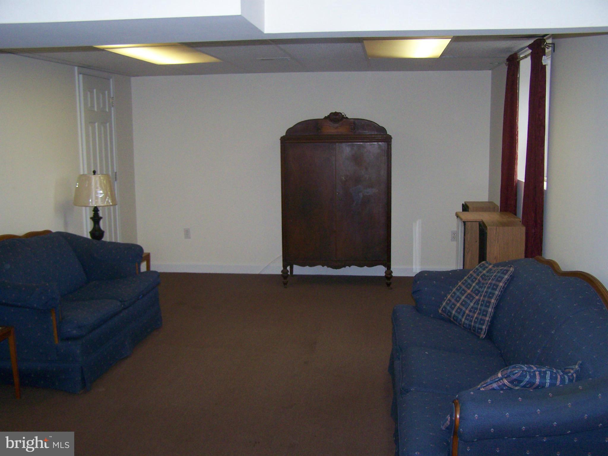 5825 Cabbage Spring Road Mount Airy, MD 21771 - Photo 23 of 29 Basement