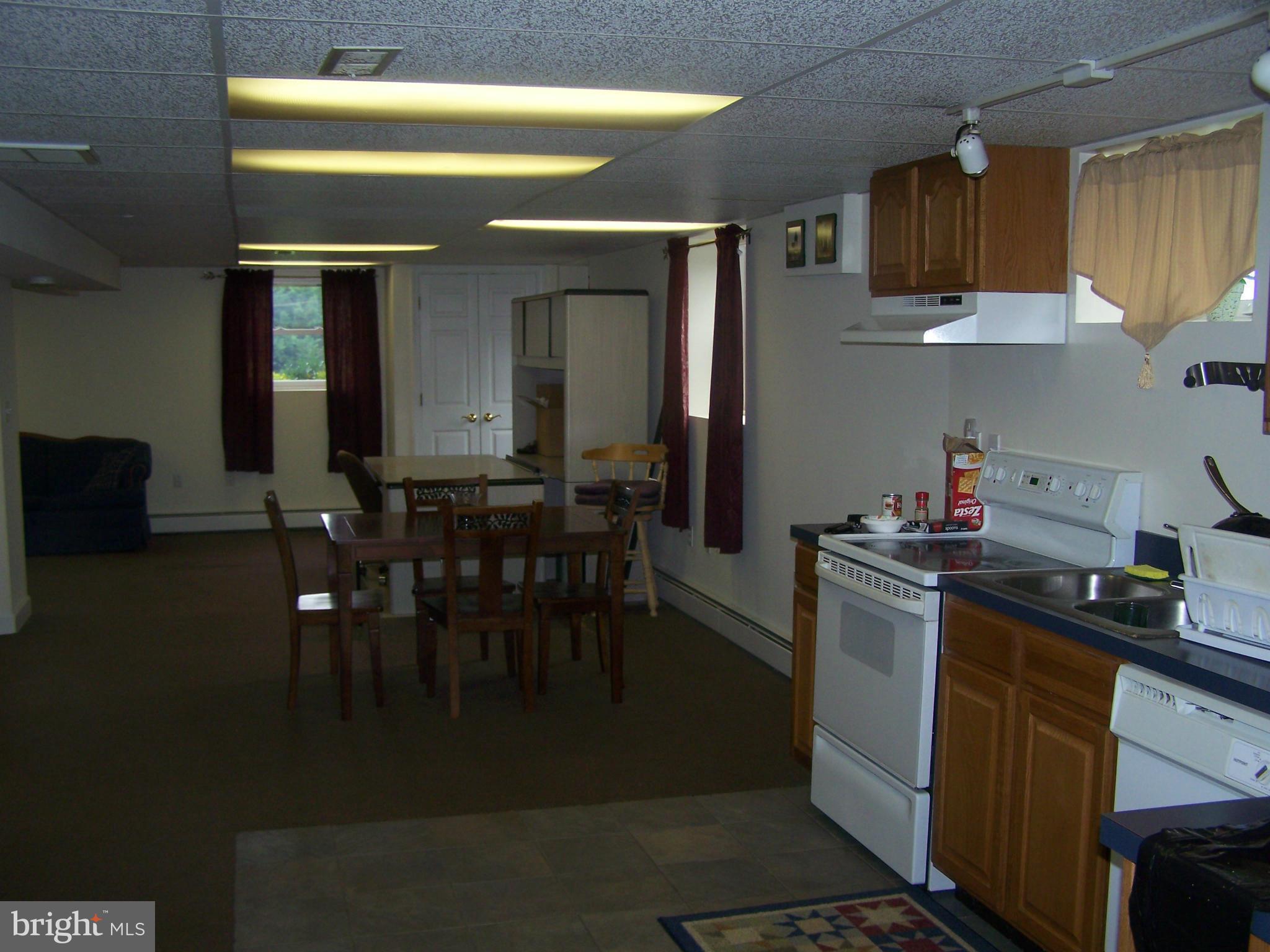 5825 Cabbage Spring Road Mount Airy, MD 21771 - Photo 24 of 29 Basement