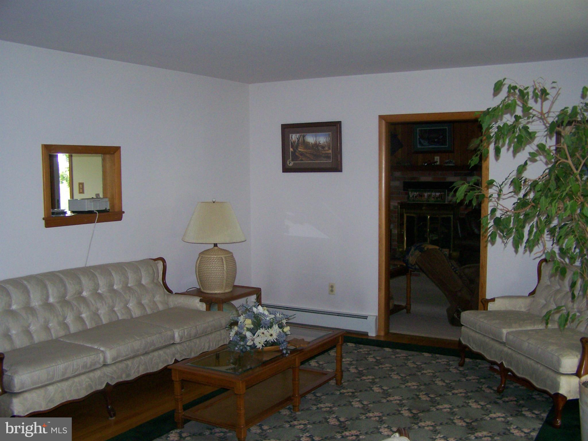 5825 Cabbage Spring Road Mount Airy, MD 21771 - Photo 10 of 29 Living Room