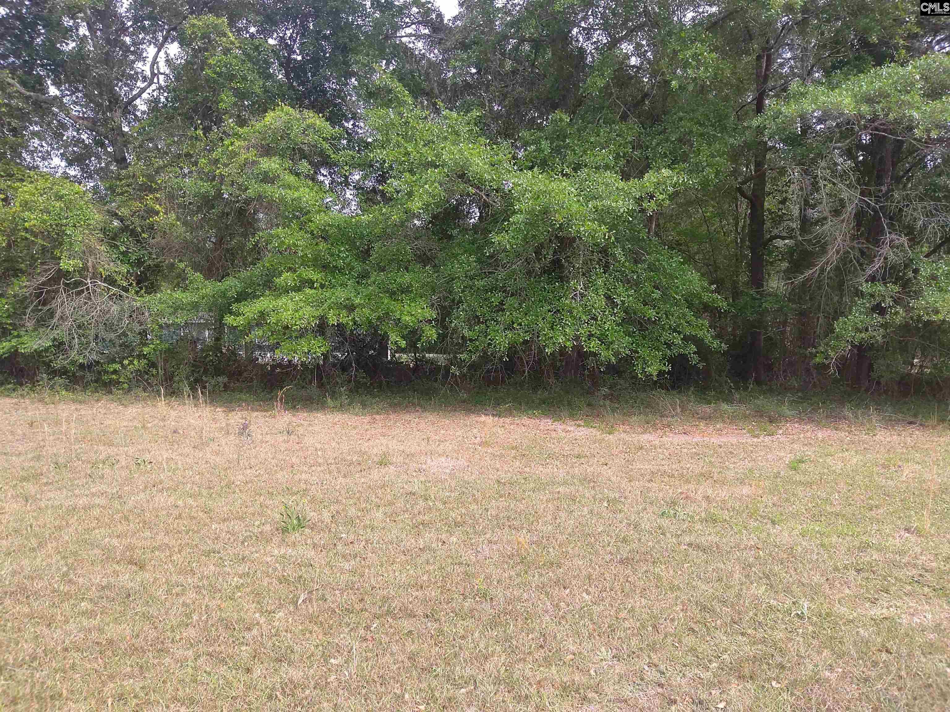 242 Ault Road Hopkins, SC 29061 - Photo 5 of 15